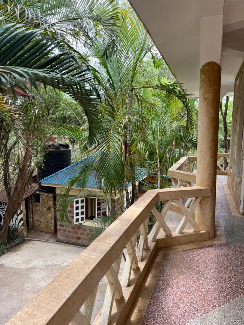 Day in The Paradise Inn Kilimanjaro