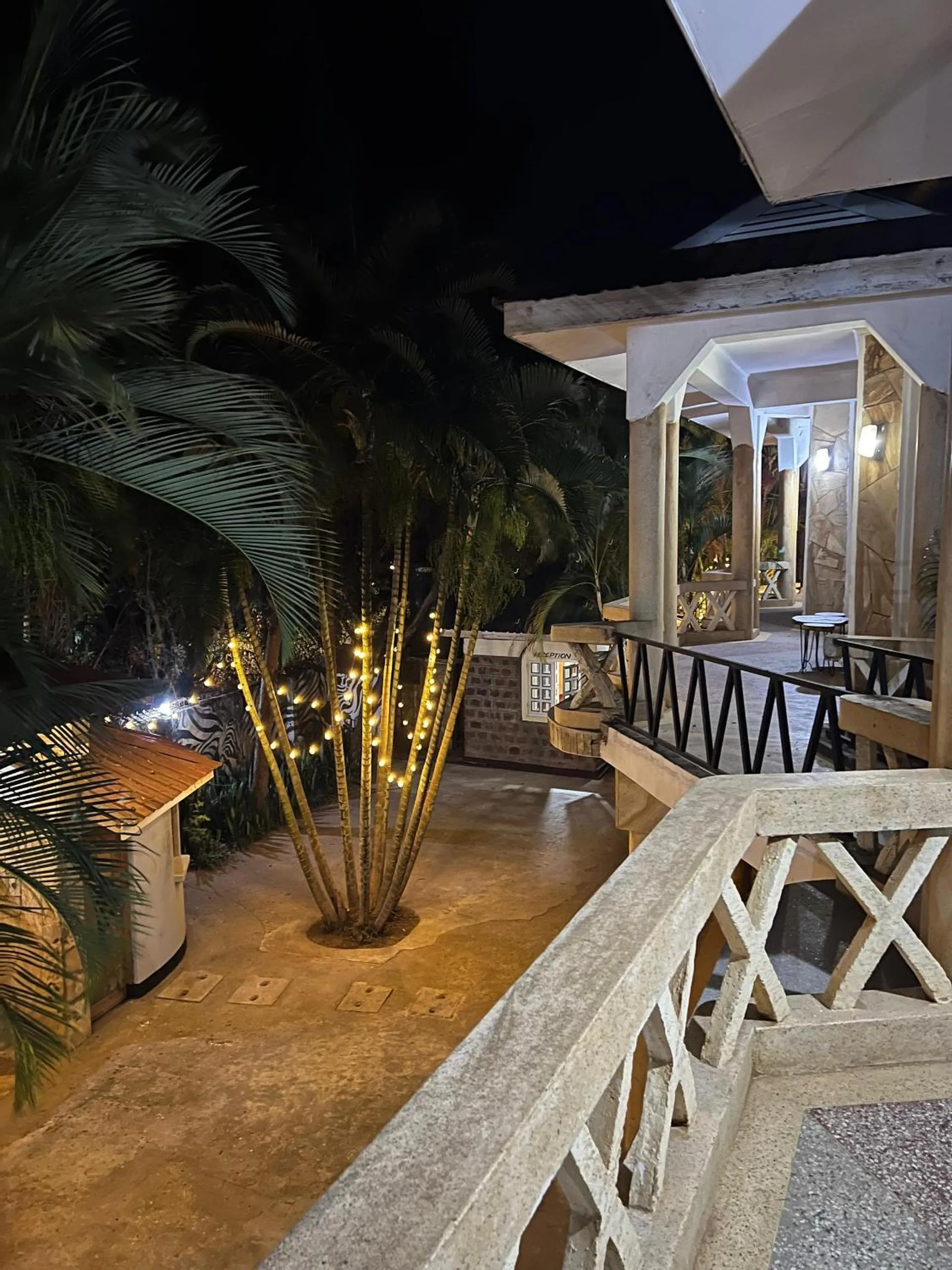 Night in The Paradise Inn Kilimanjaro