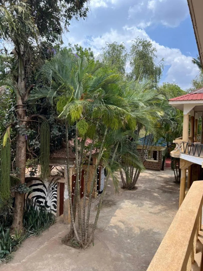 Day in The Paradise Inn Kilimanjaro