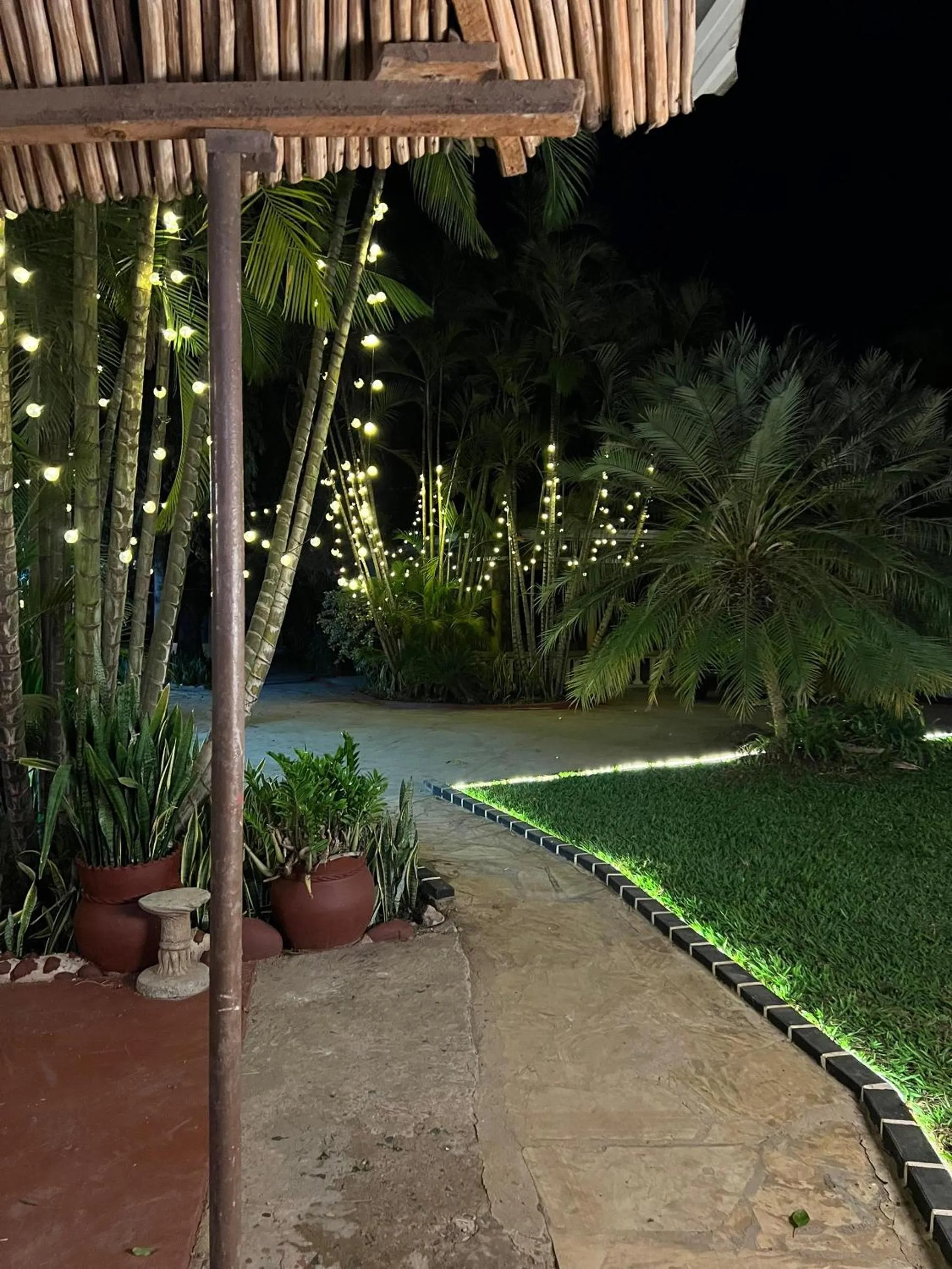 Night in The Paradise Inn Kilimanjaro