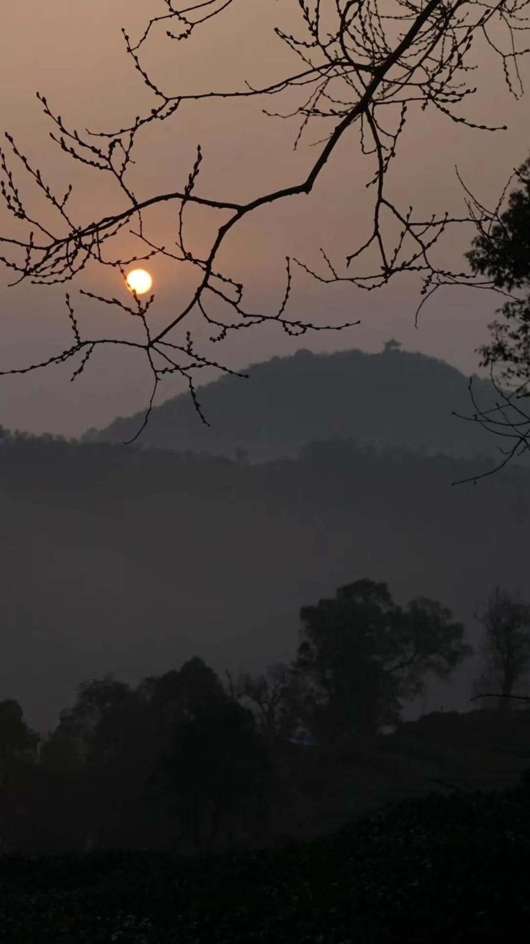 Hiking in Aventree Hotel