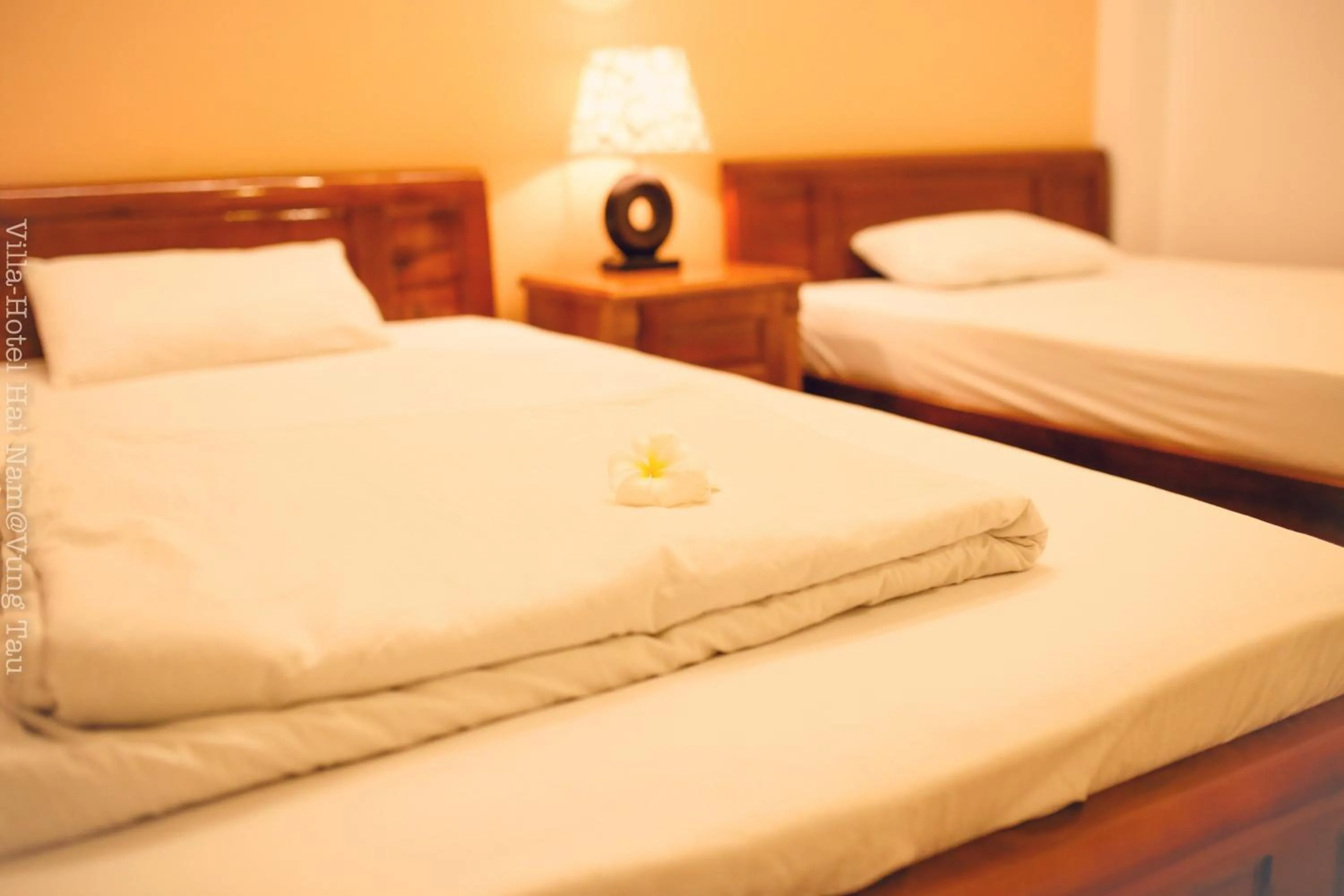 Photo of the whole room, Bed in Biệt Thự Villa Hai Nam -Vung Tau-G8 Bau Sen 08