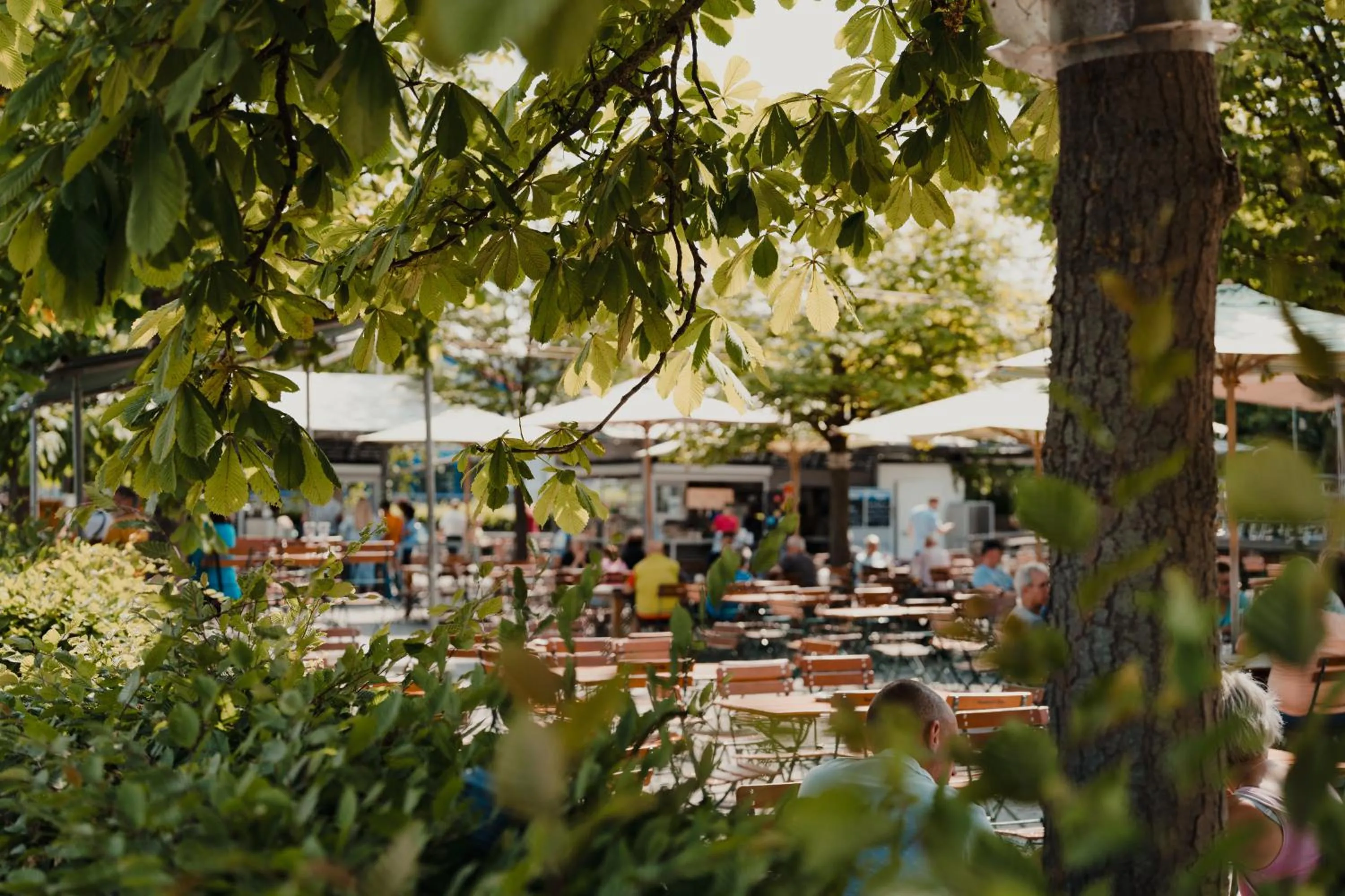 Restaurant/places to eat in Hotel am Fischmarkt