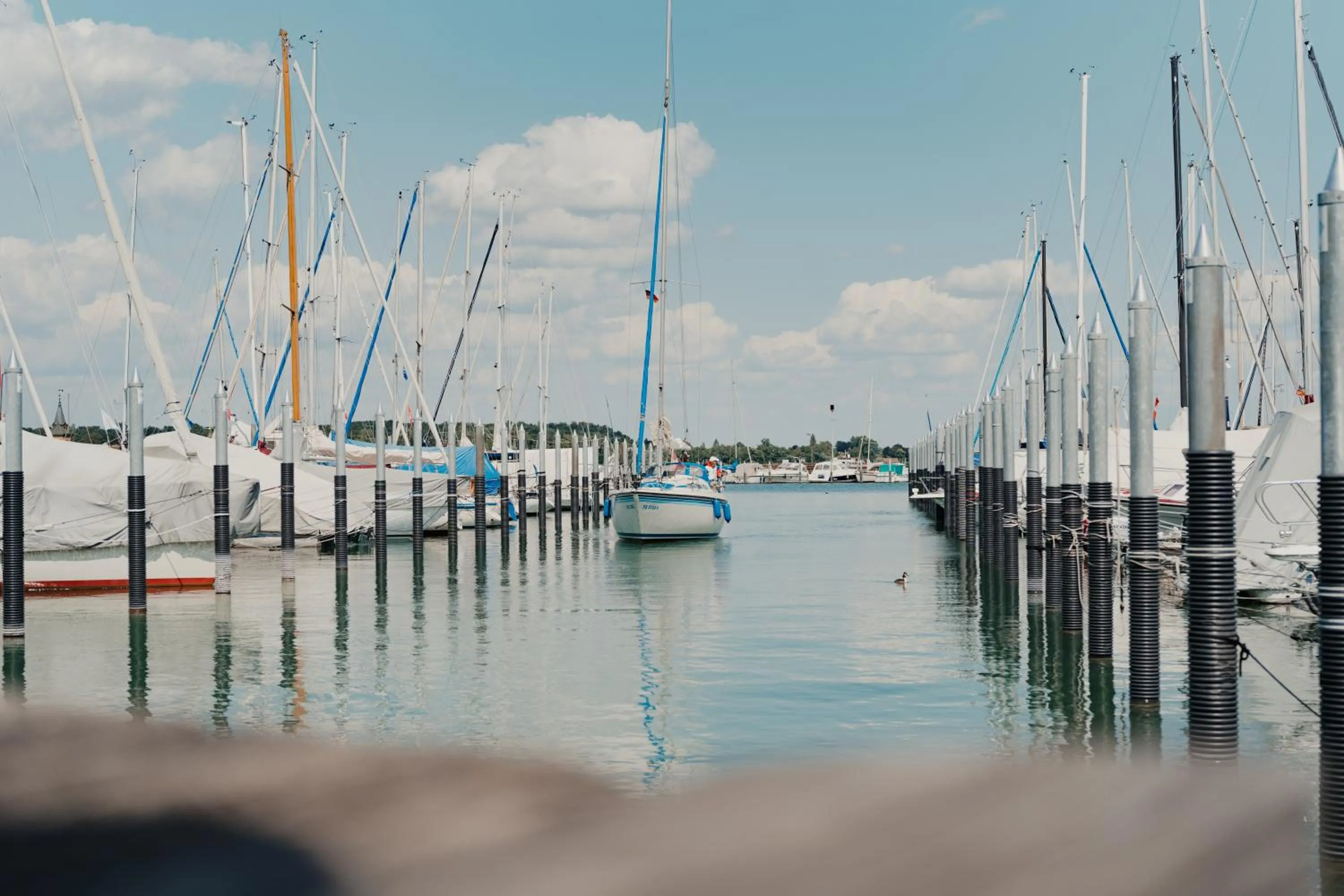 Activities in Hotel am Fischmarkt