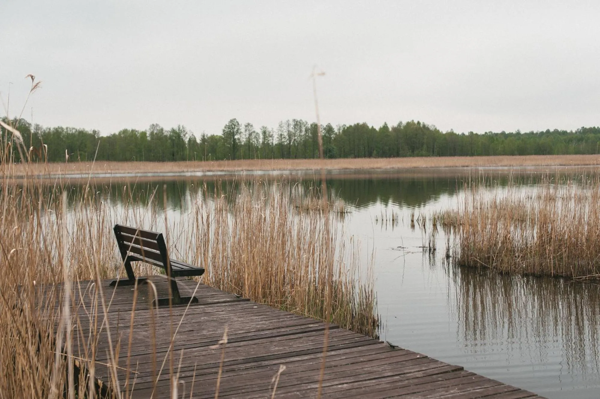 Natural landscape in Gasan Place - Domki na Mazurach