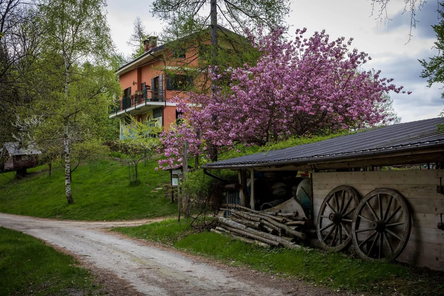 B&B Pian Savin