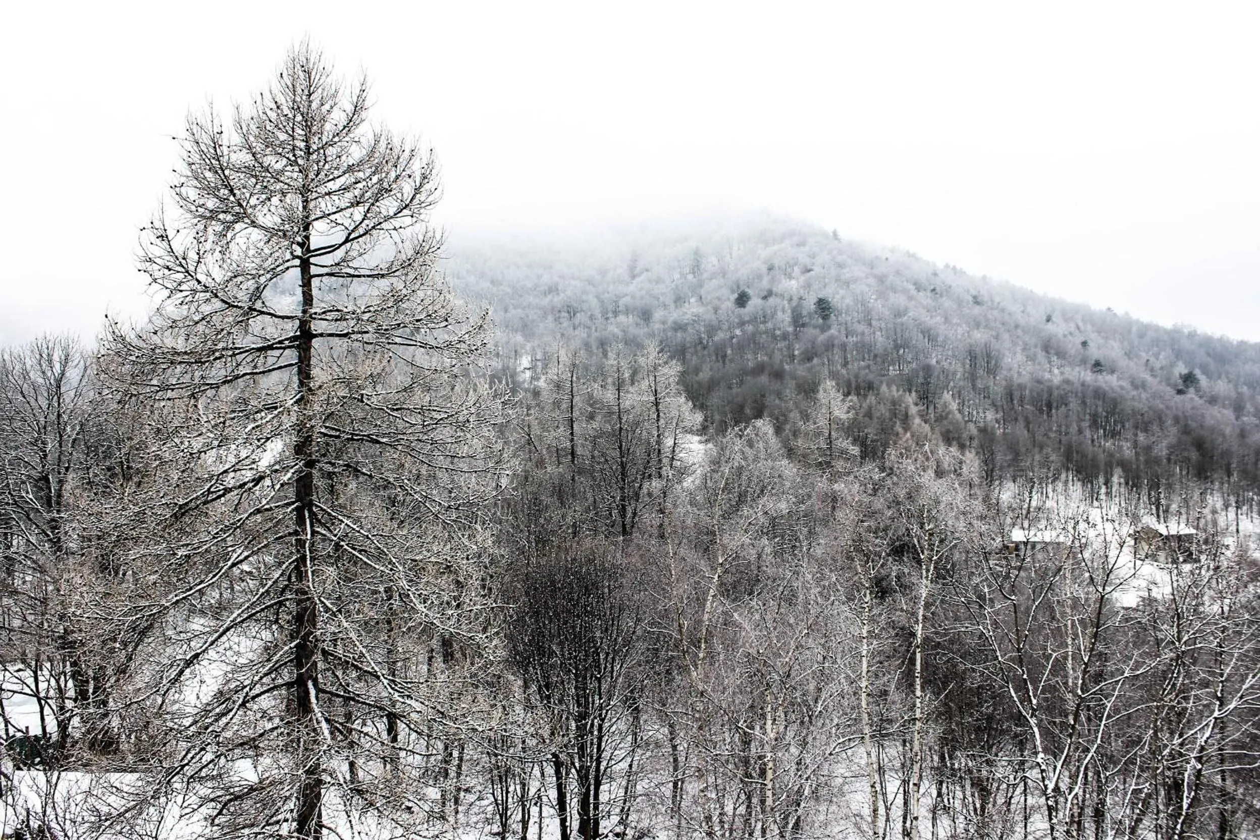 Mountain view in B&B Pian Savin