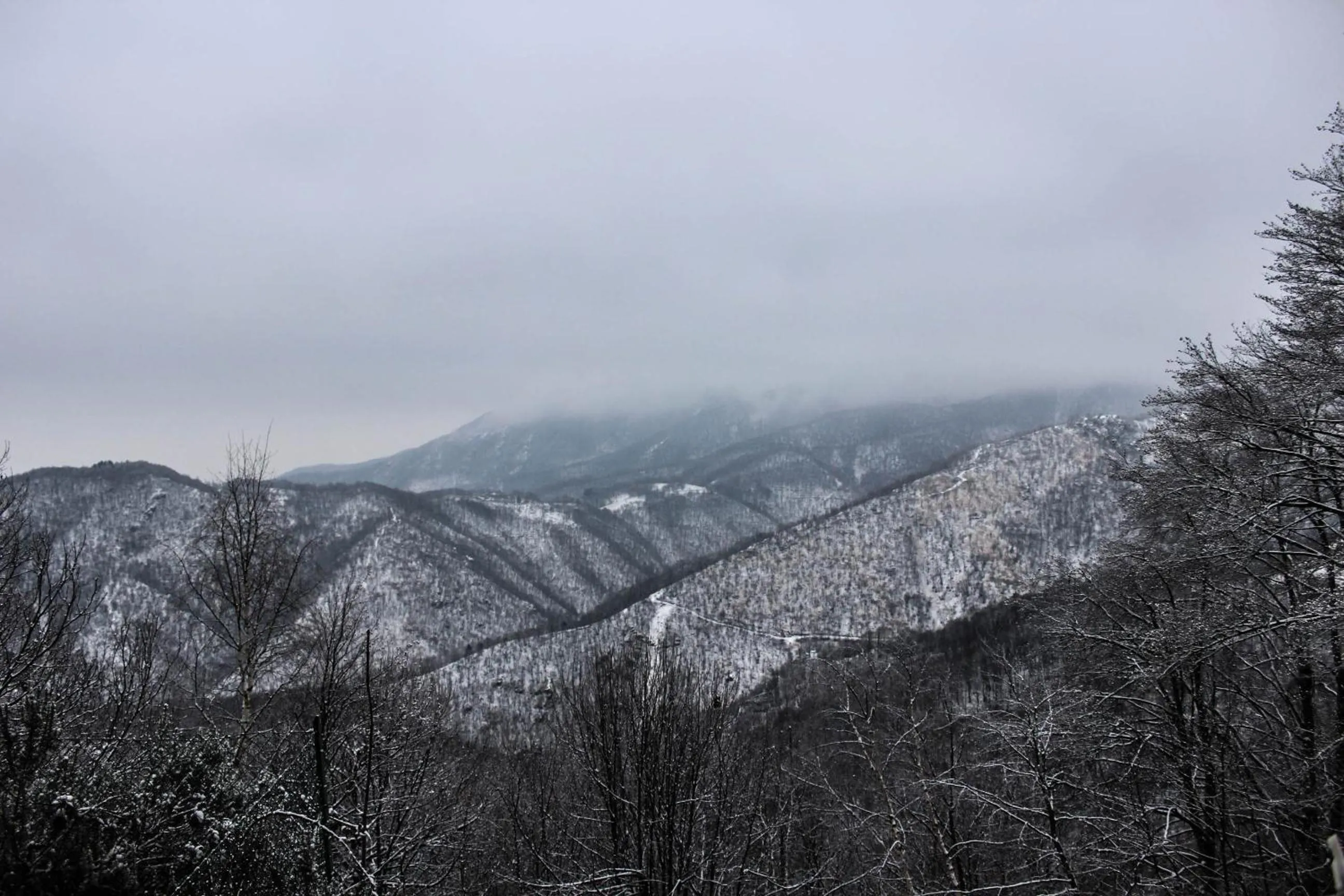 Mountain view in B&B Pian Savin