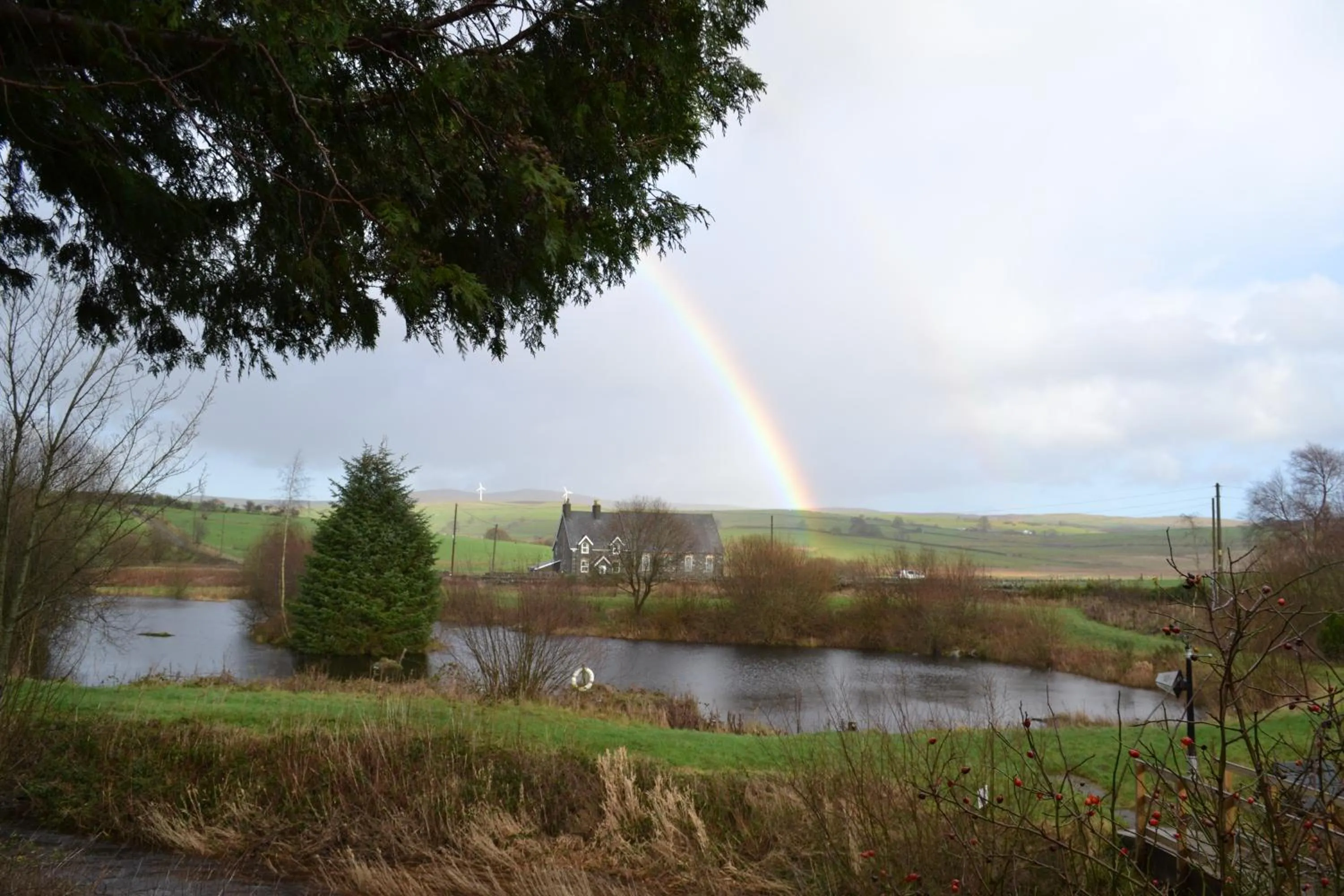 Lake view in Y Giler Arms