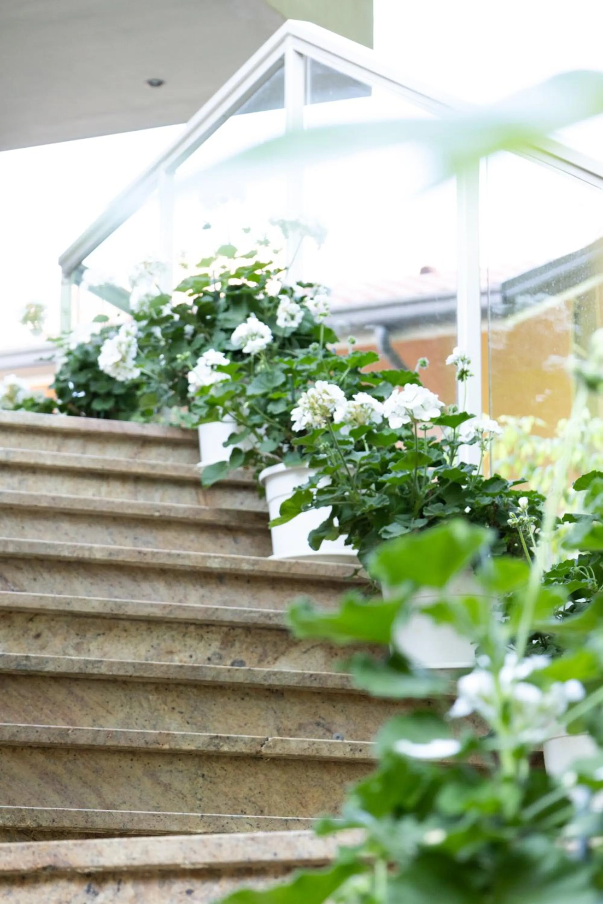 Garden in California Pastry Hotel