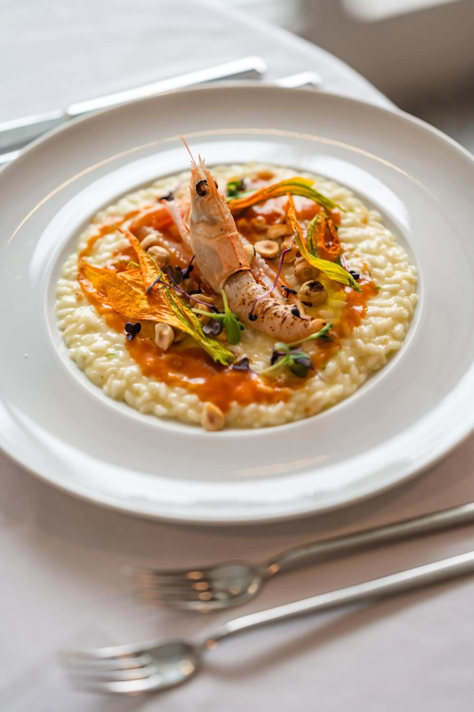 Restaurant/places to eat in Hotel Gritti