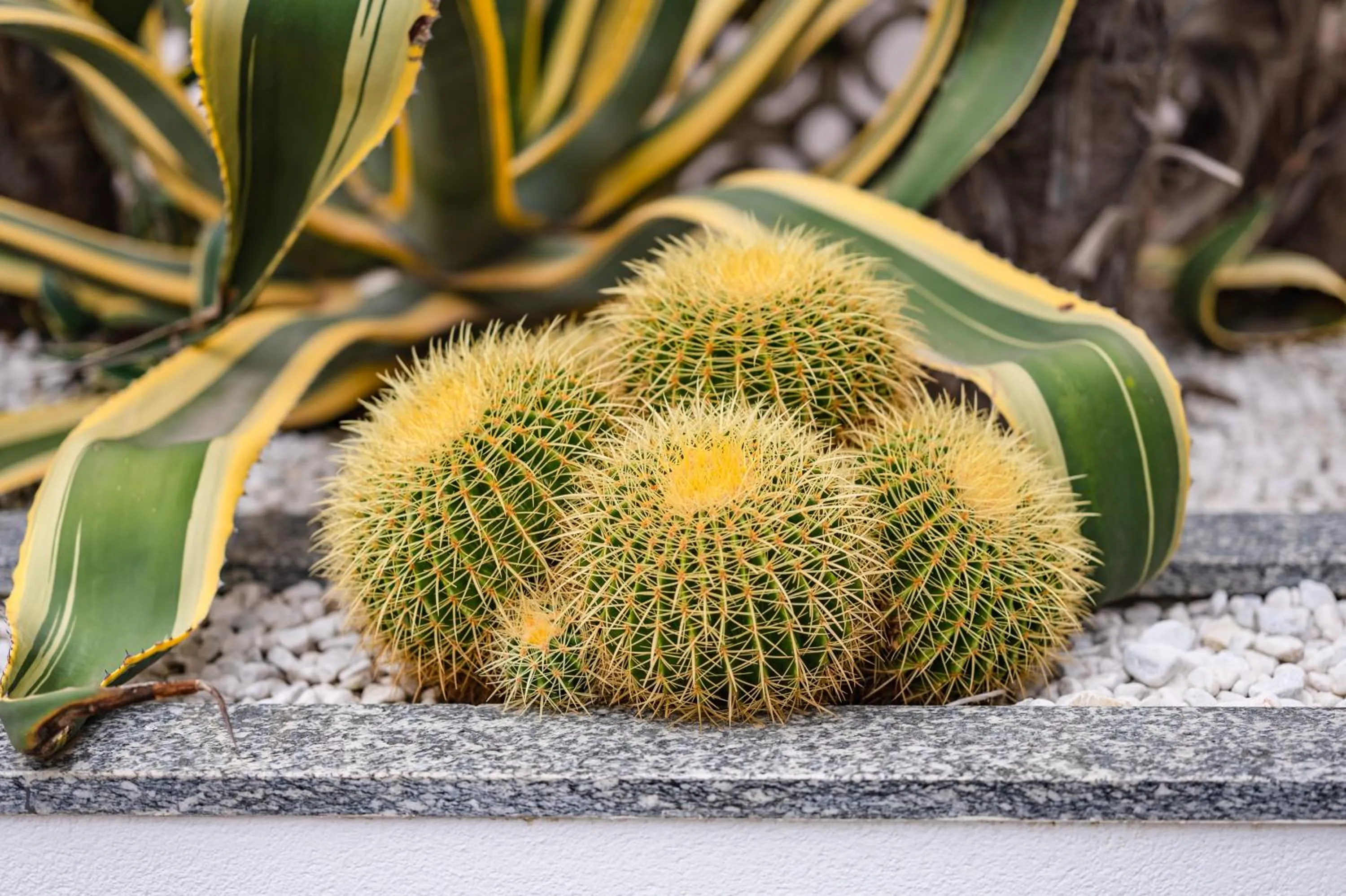 Property building in Hotel Gritti