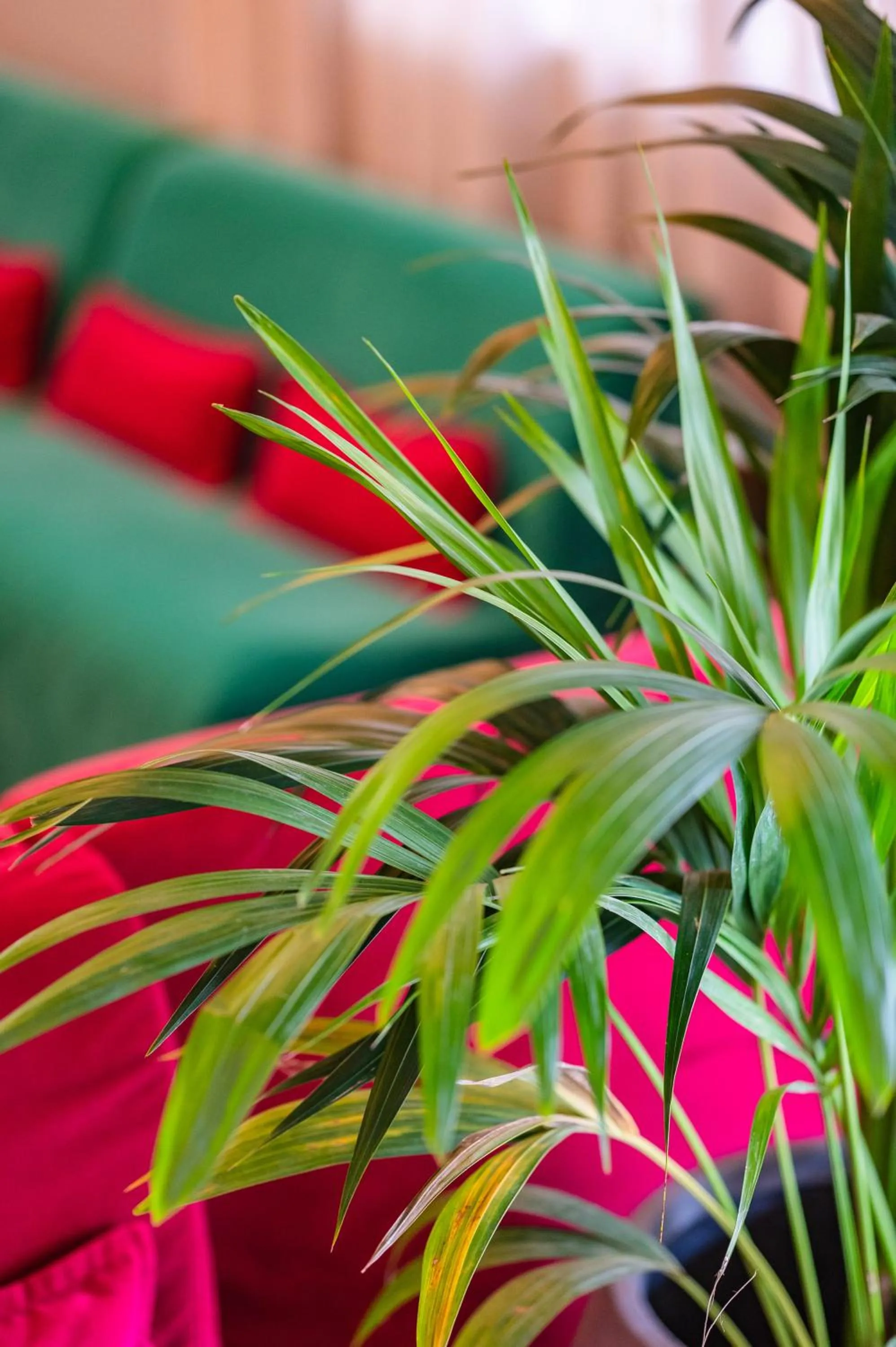 Lobby or reception in Hotel Gritti