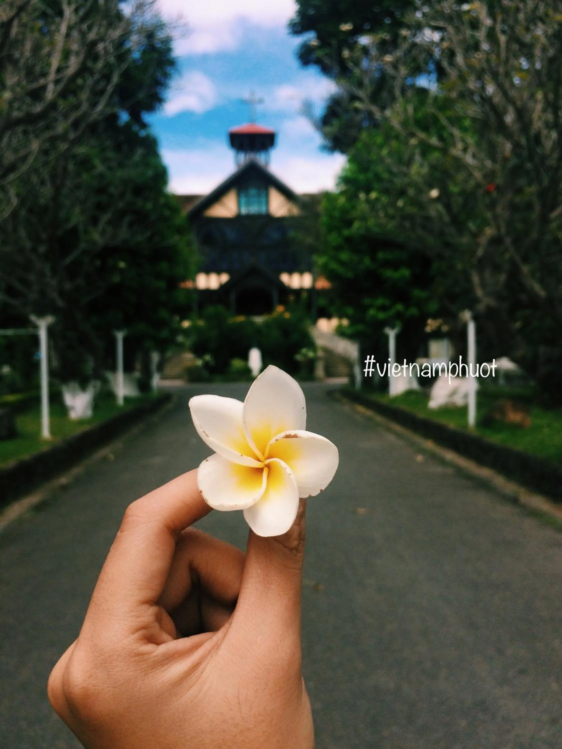 Vietnam Phuot Real Home