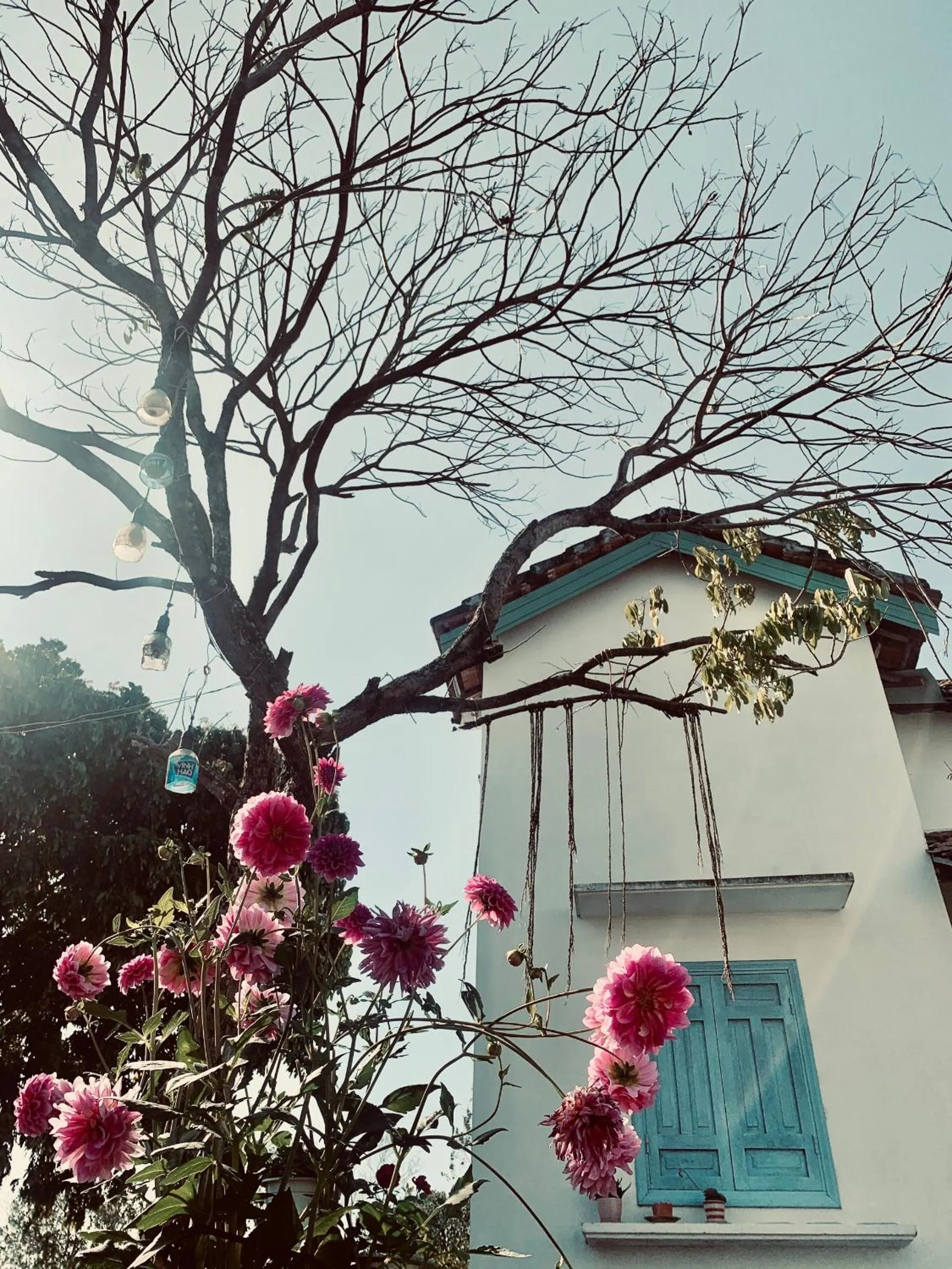 Vietnam Phuot Real Home