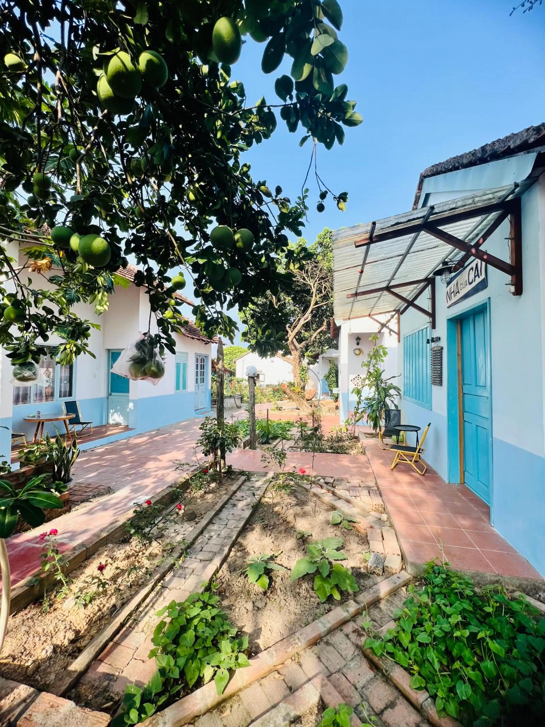 Vietnam Phuot Real Home