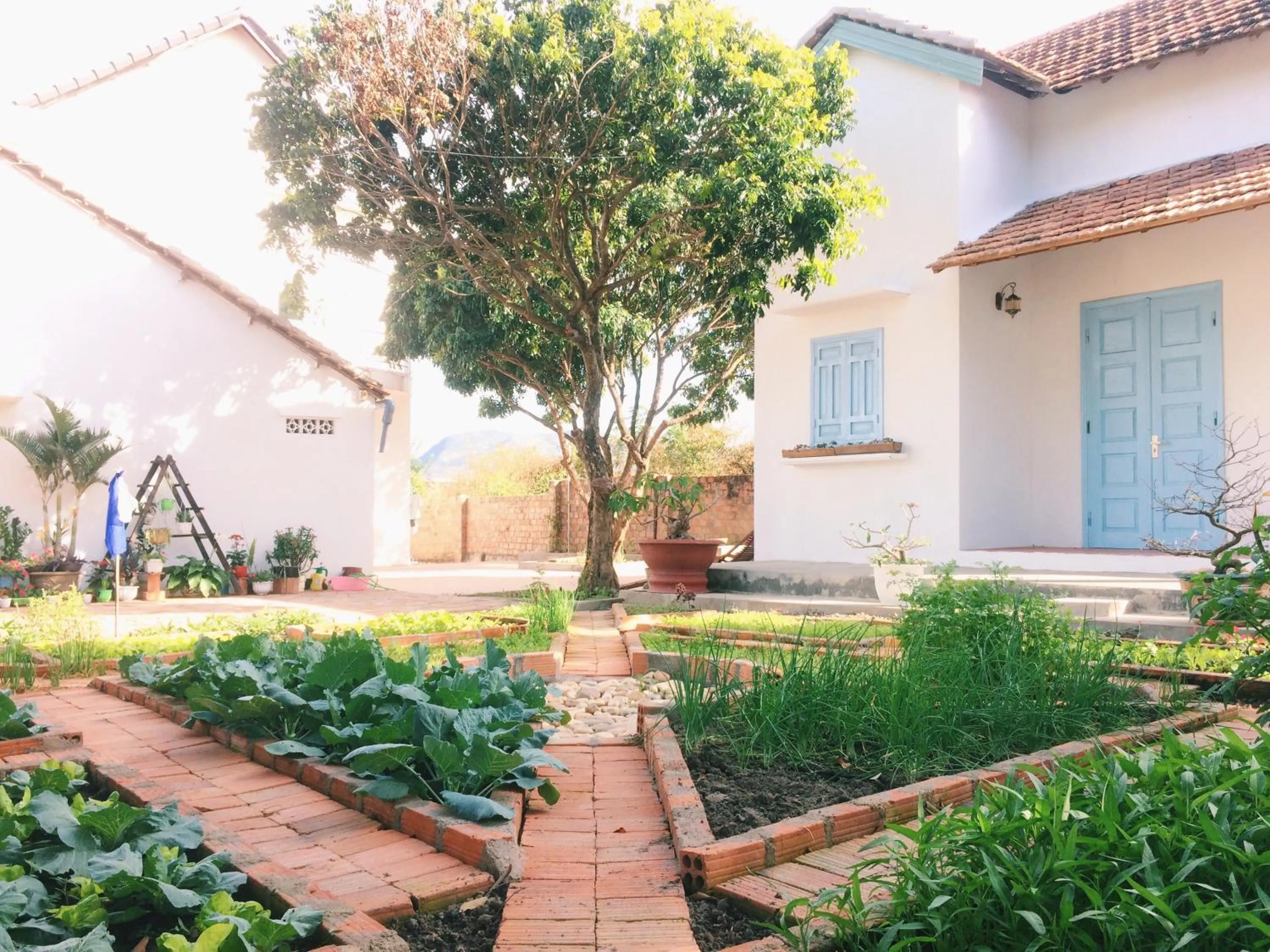 Vietnam Phuot Real Home
