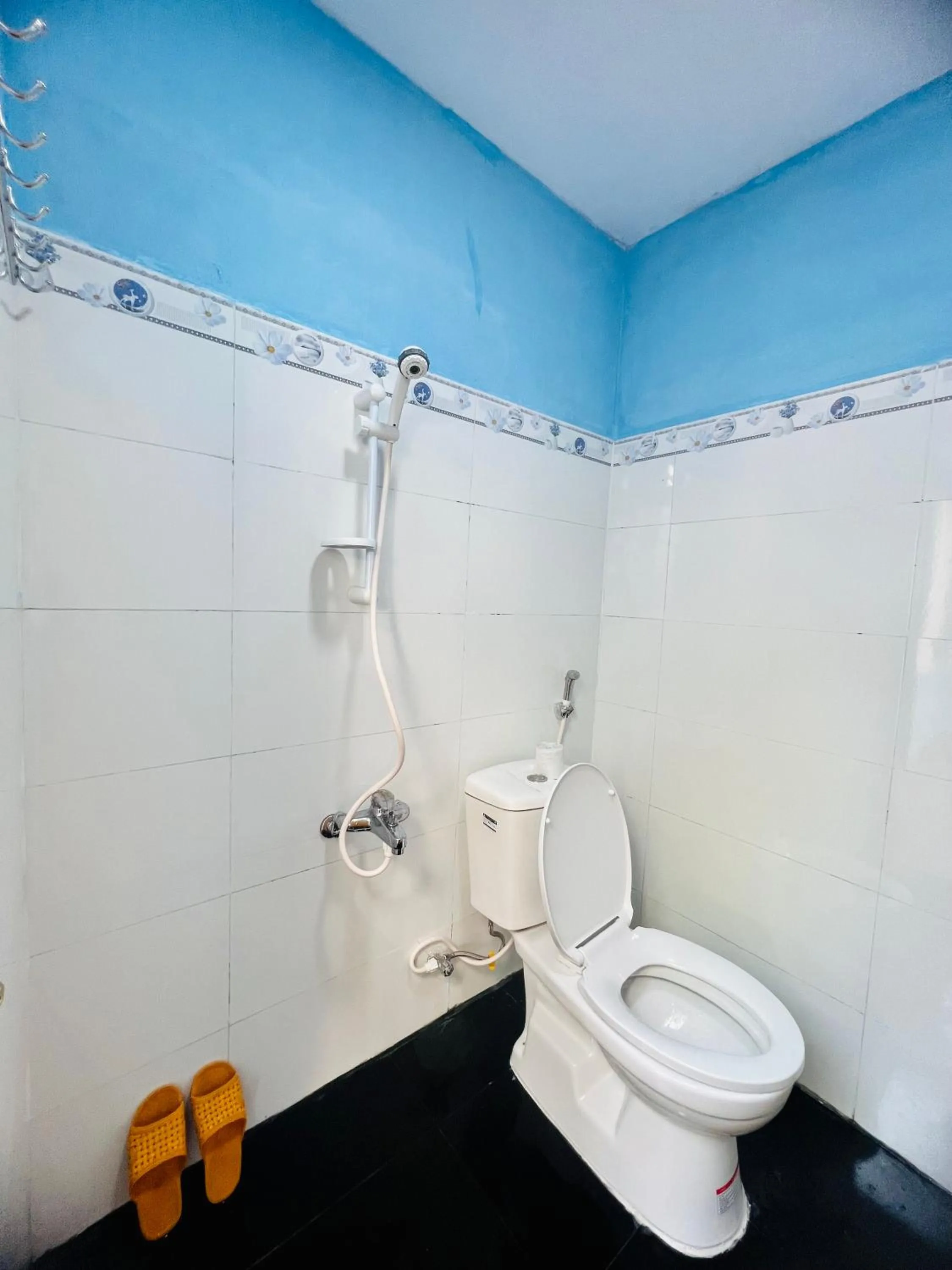 Toilet in Vietnam Phuot Real Home