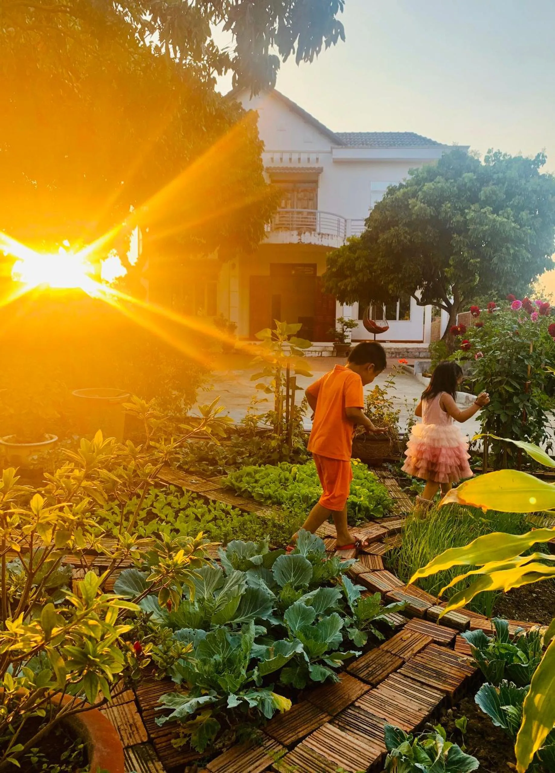 Vietnam Phuot Real Home