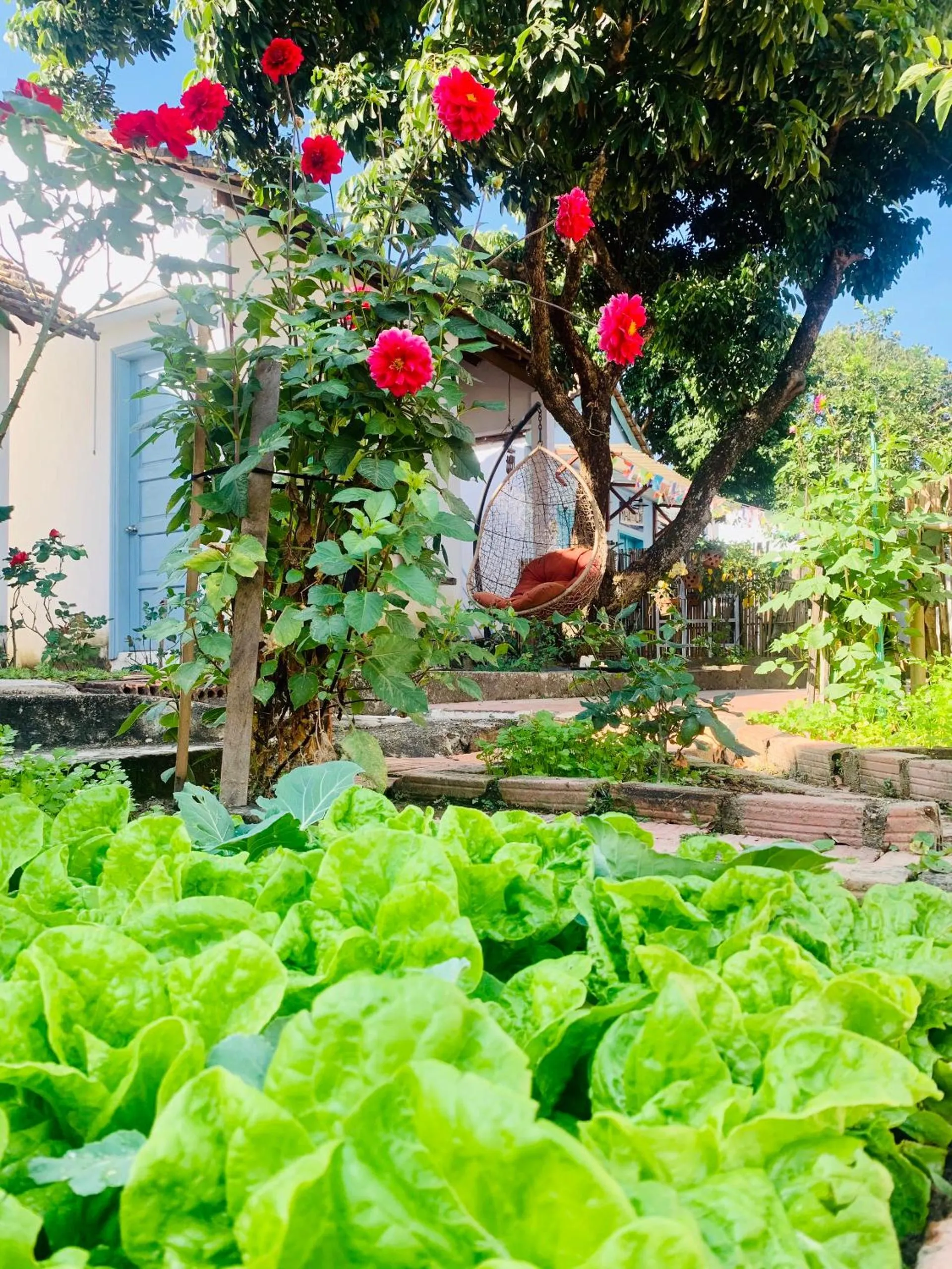Vietnam Phuot Real Home