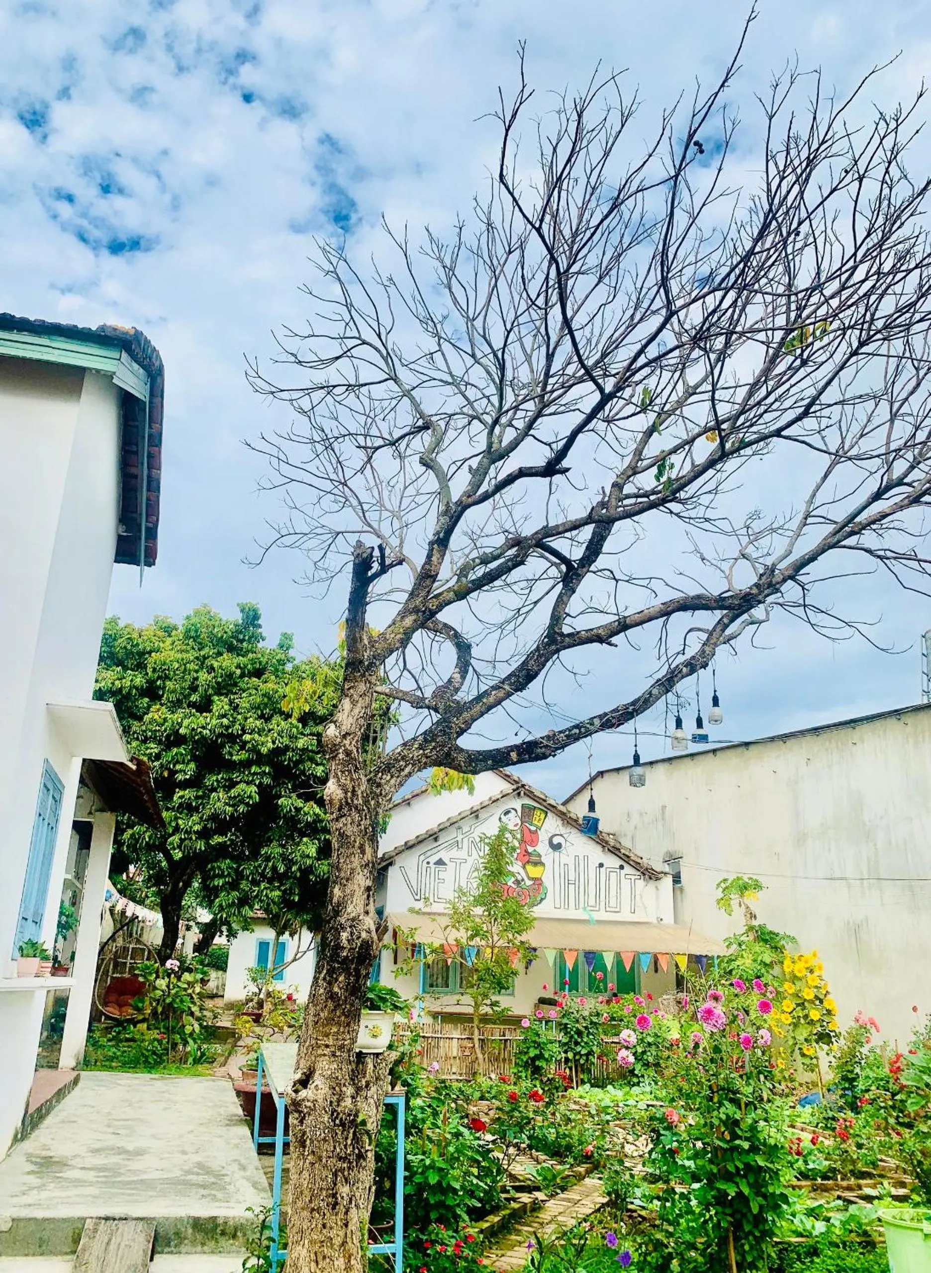 Vietnam Phuot Real Home