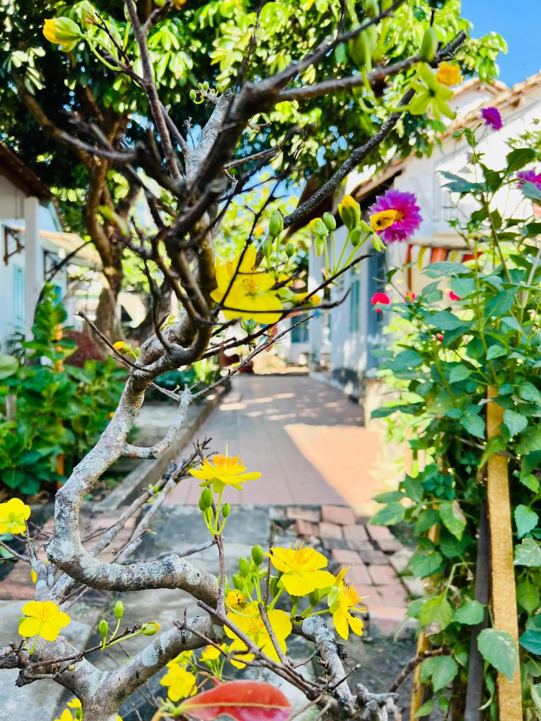 Vietnam Phuot Real Home