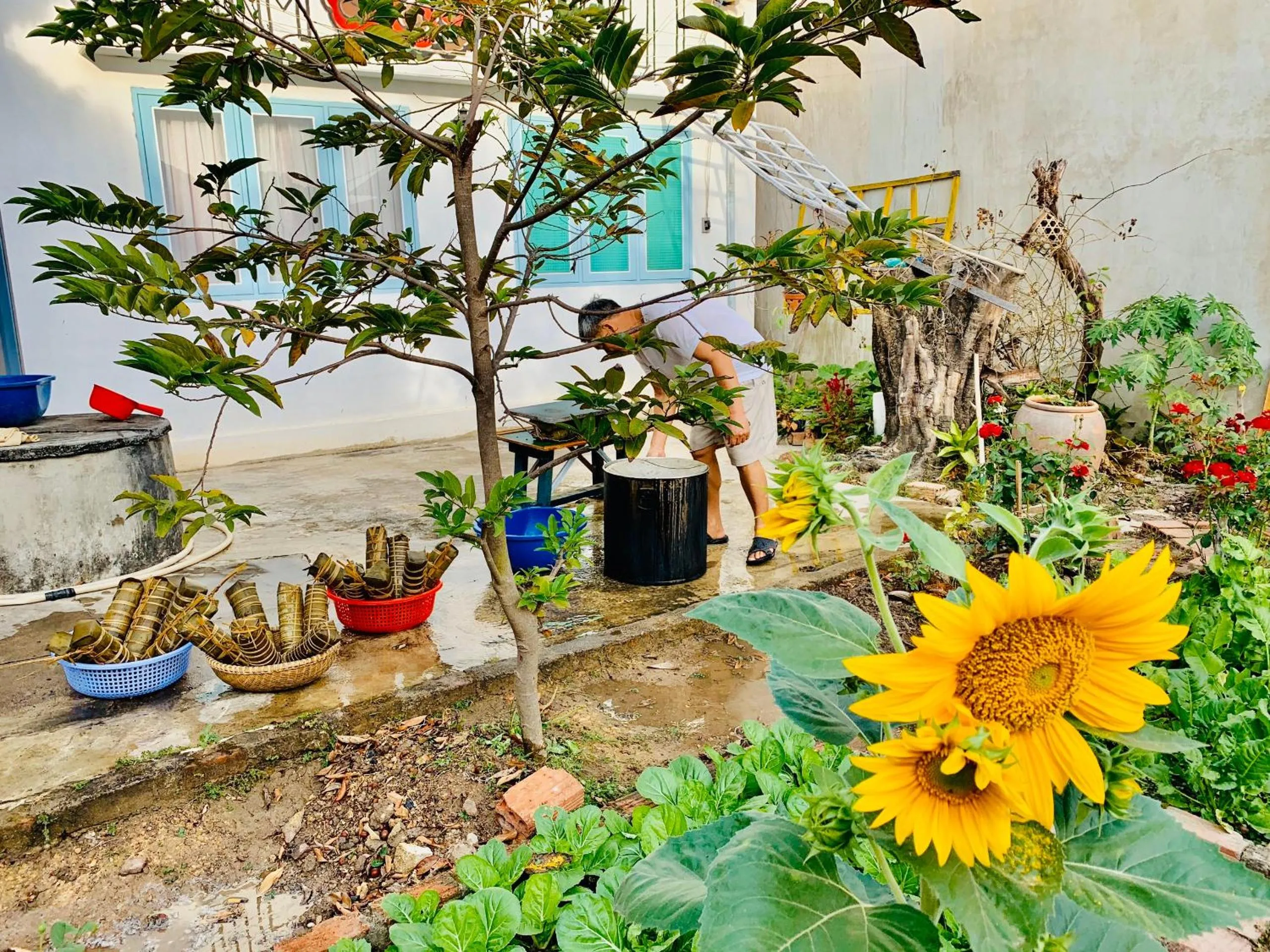 Vietnam Phuot Real Home