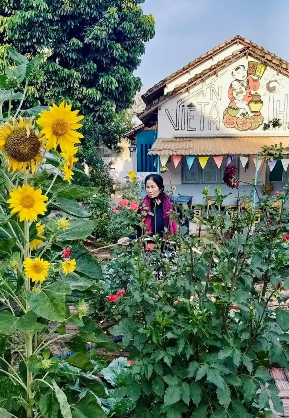Vietnam Phuot Real Home Vietnam Phuot Real Home