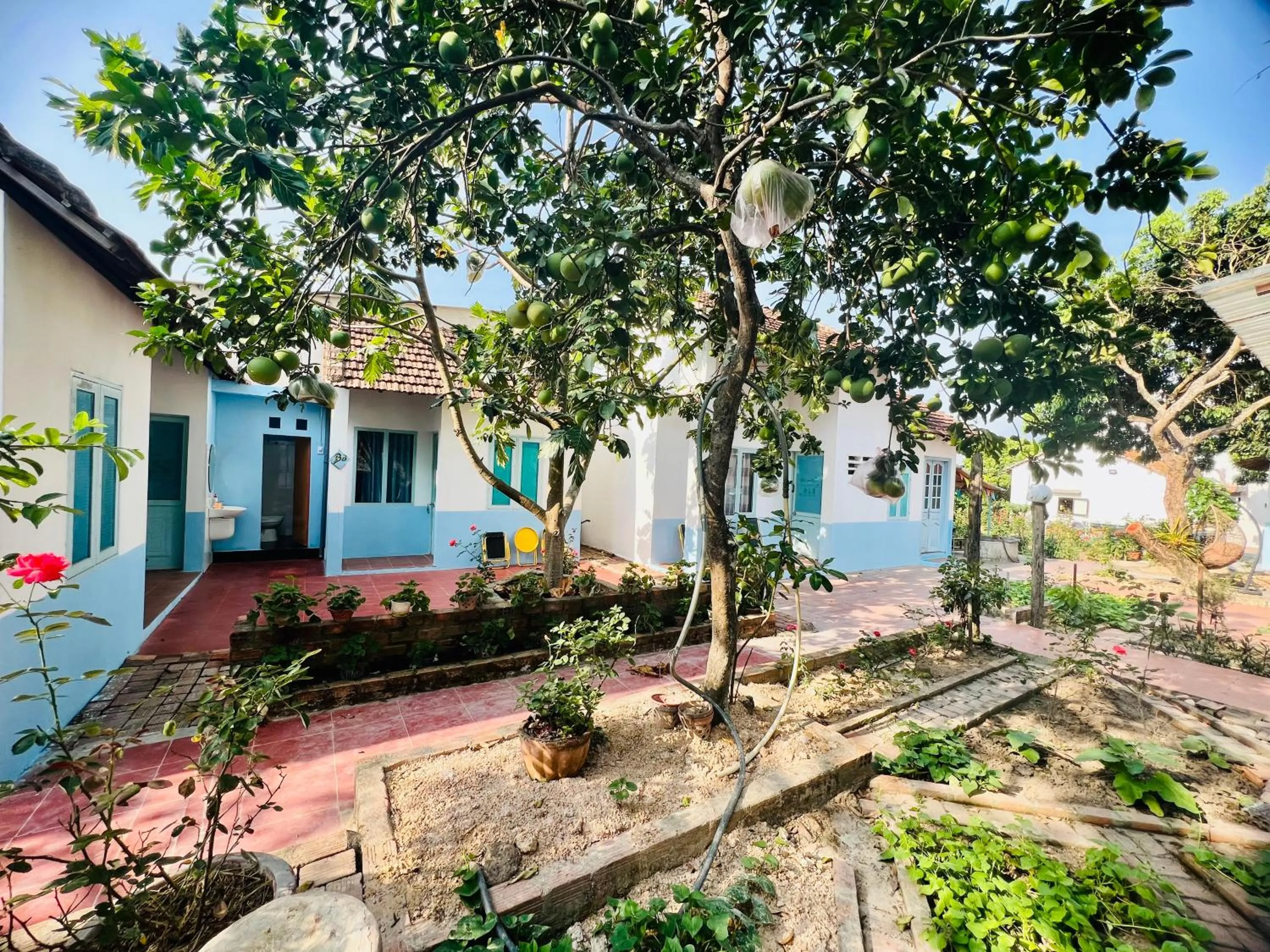 Vietnam Phuot Real Home