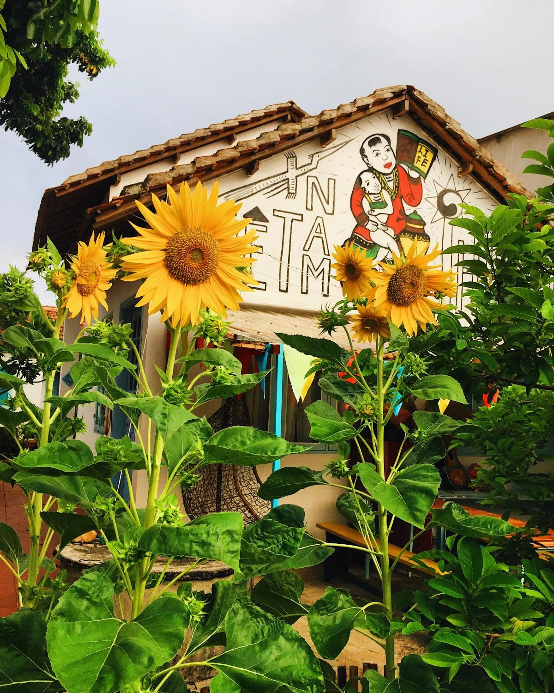 Vietnam Phuot Real Home