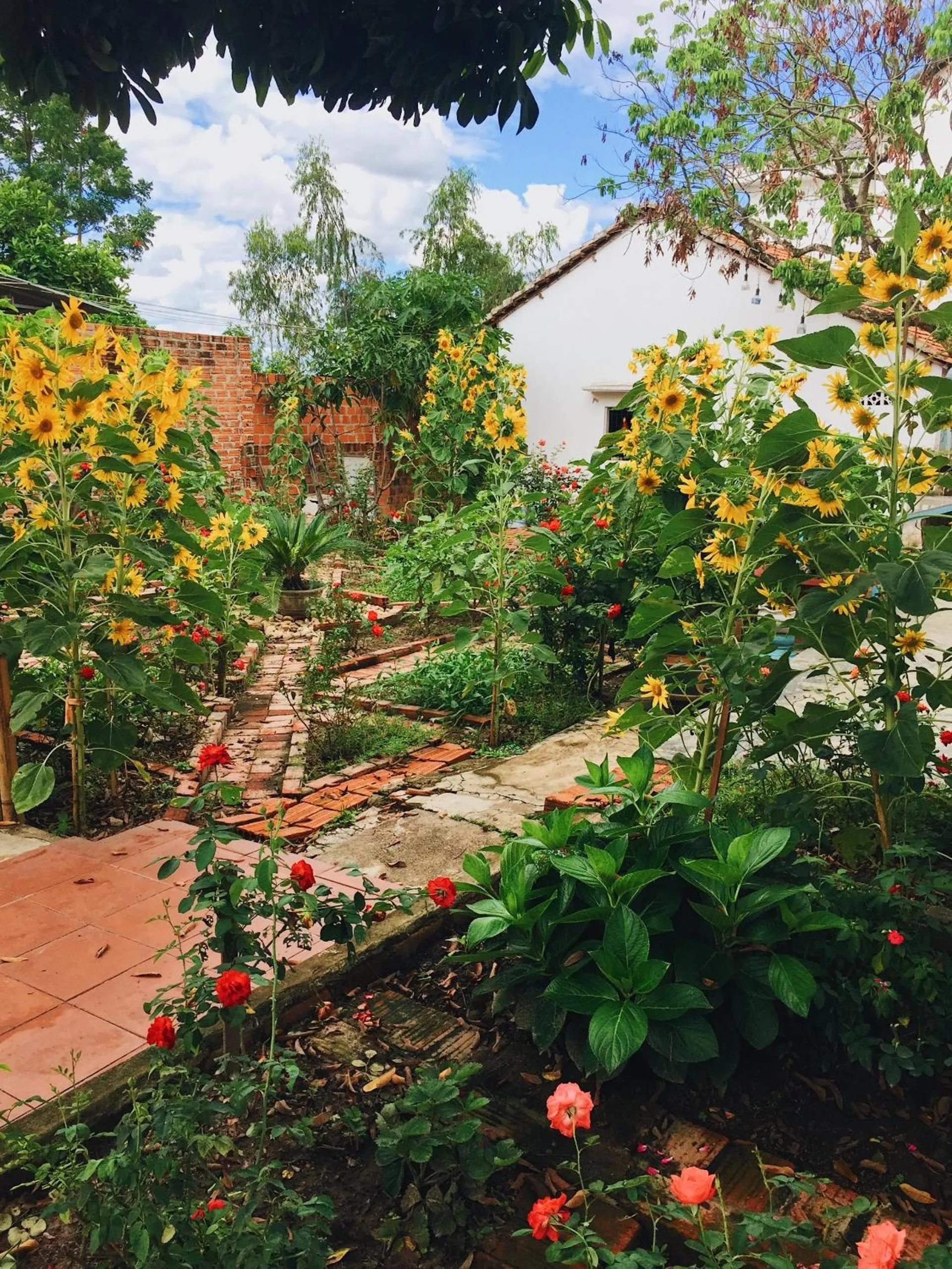 Vietnam Phuot Real Home