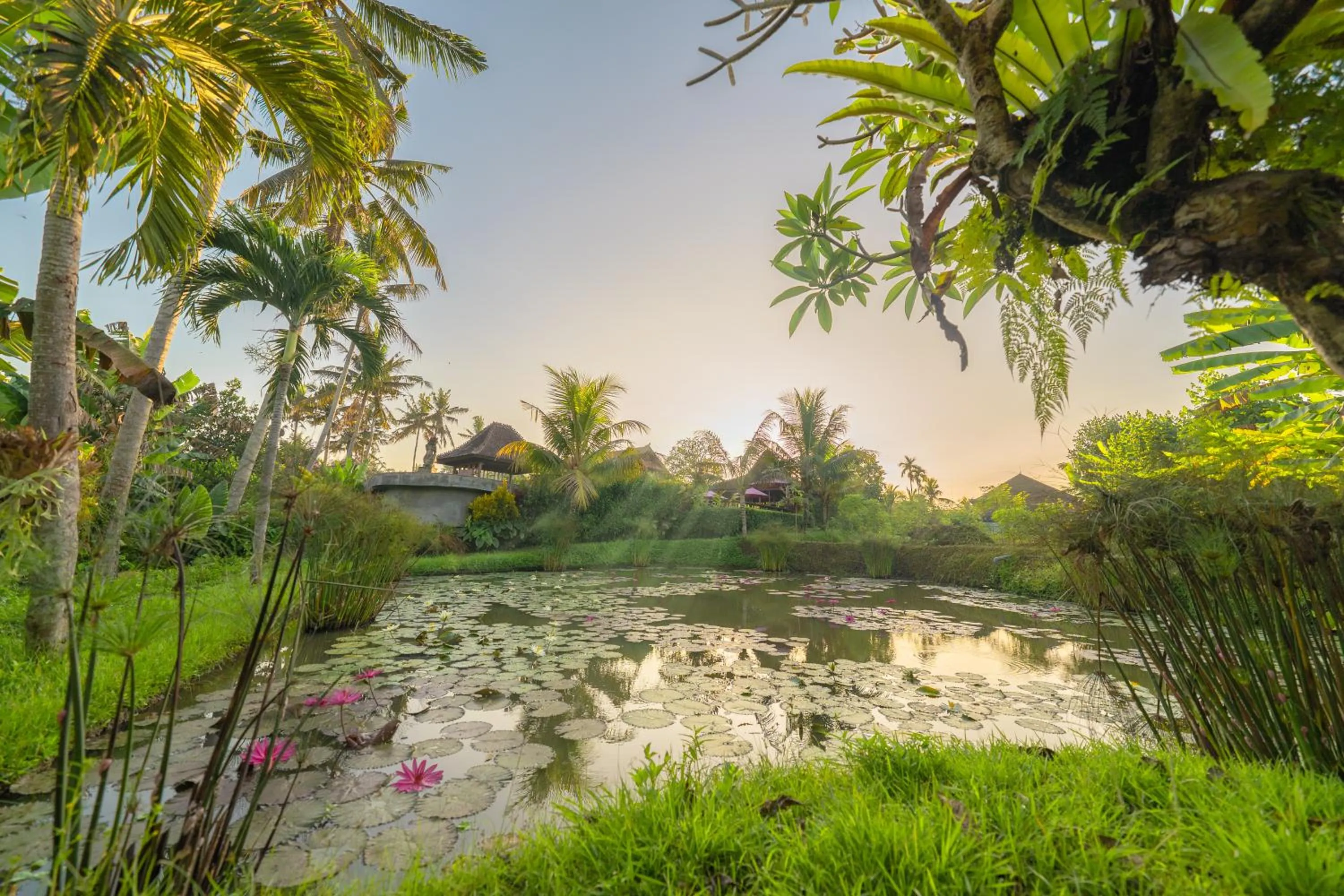 Natural landscape in Uma Dawa Resort and Spa
