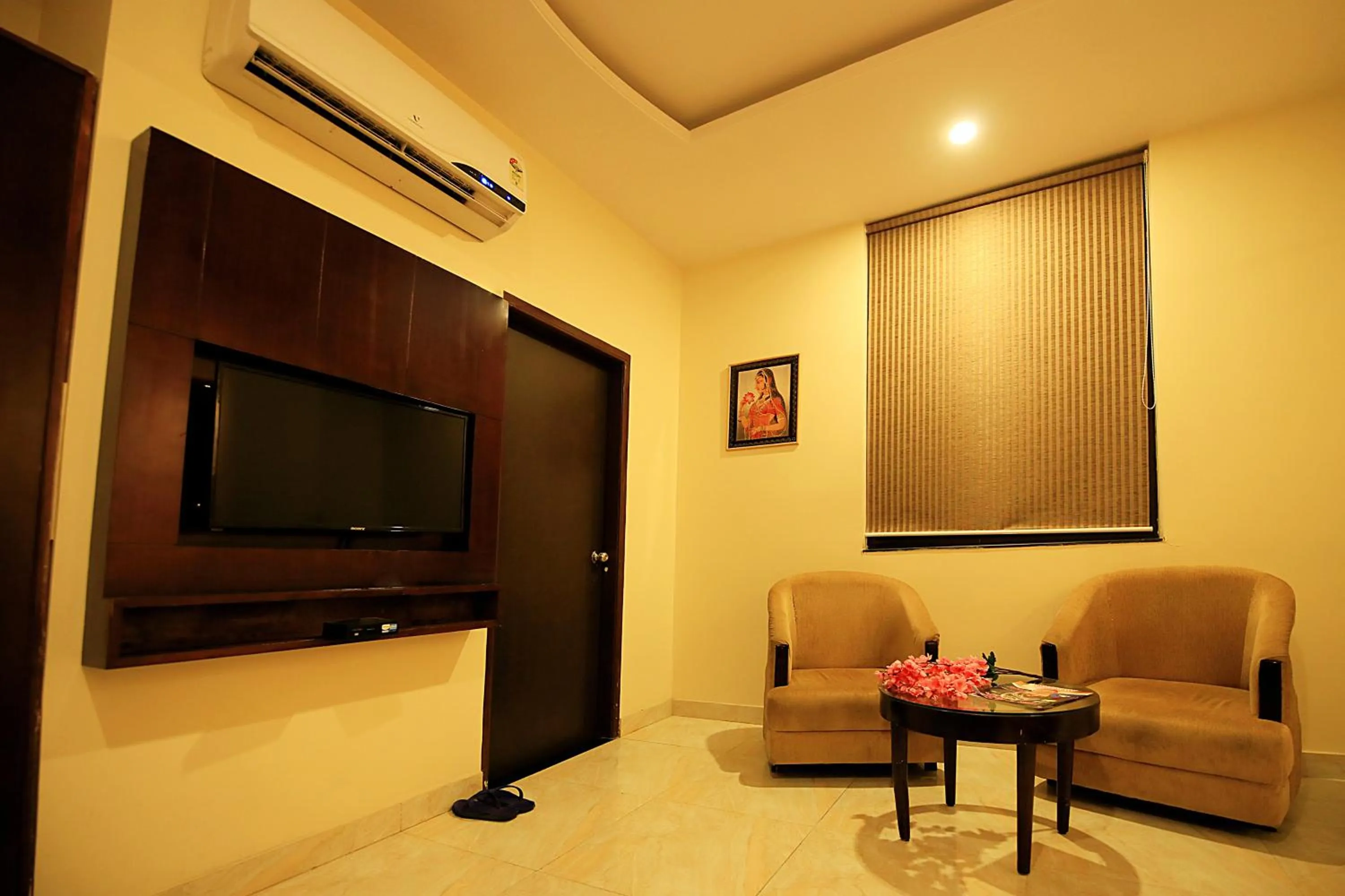 TV and multimedia in V One Pride