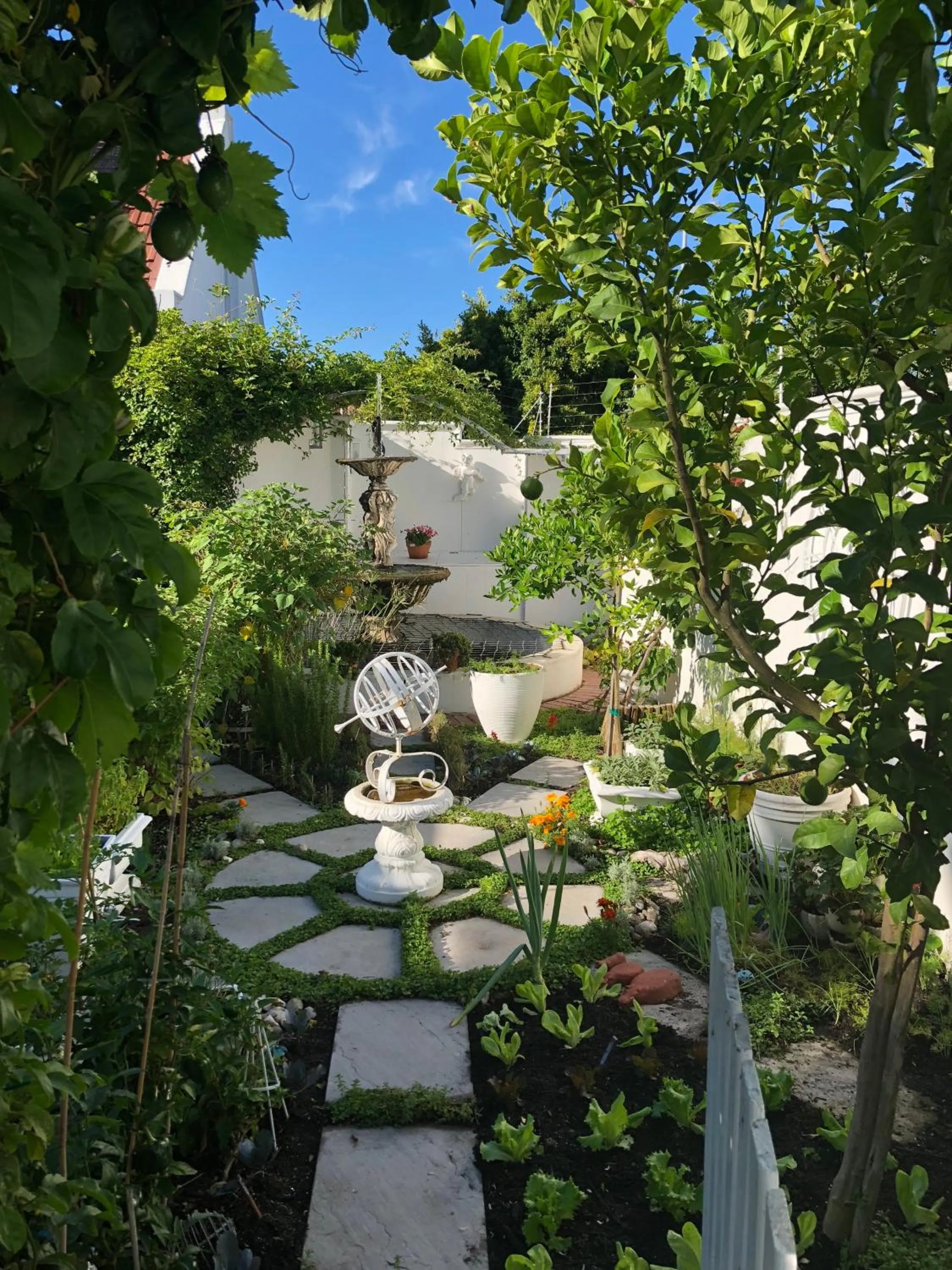 Garden in Our Hermanus B&B