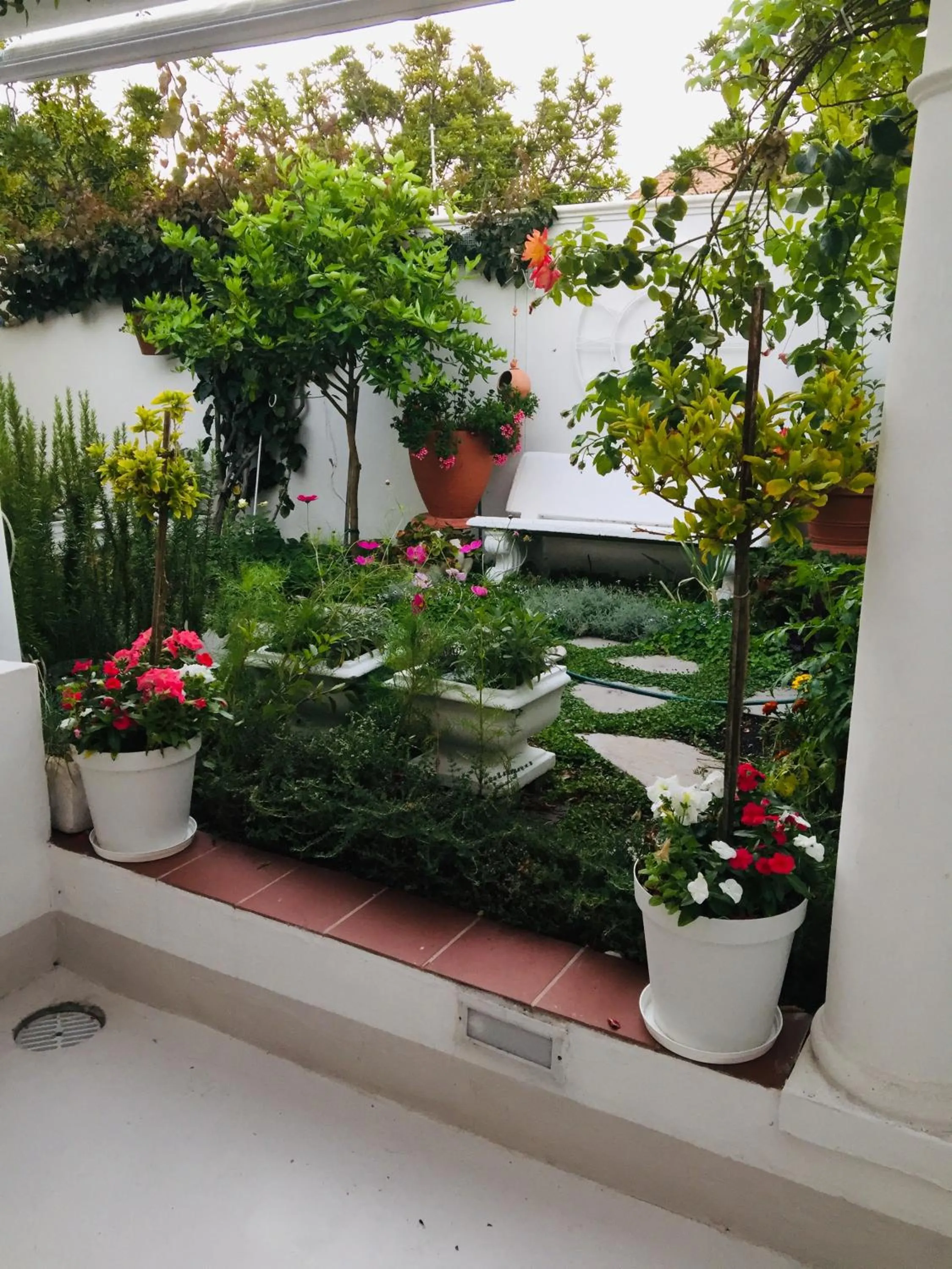 Garden in Our Hermanus B&B