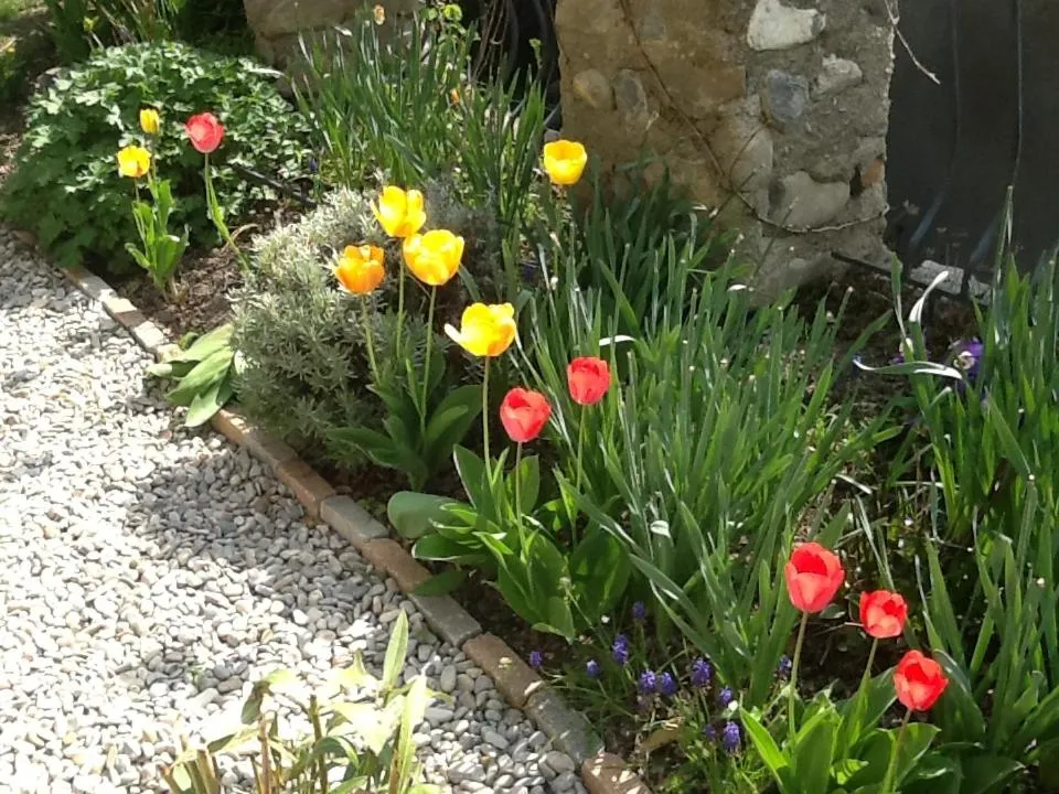 Maison Aux Lavandes B&B