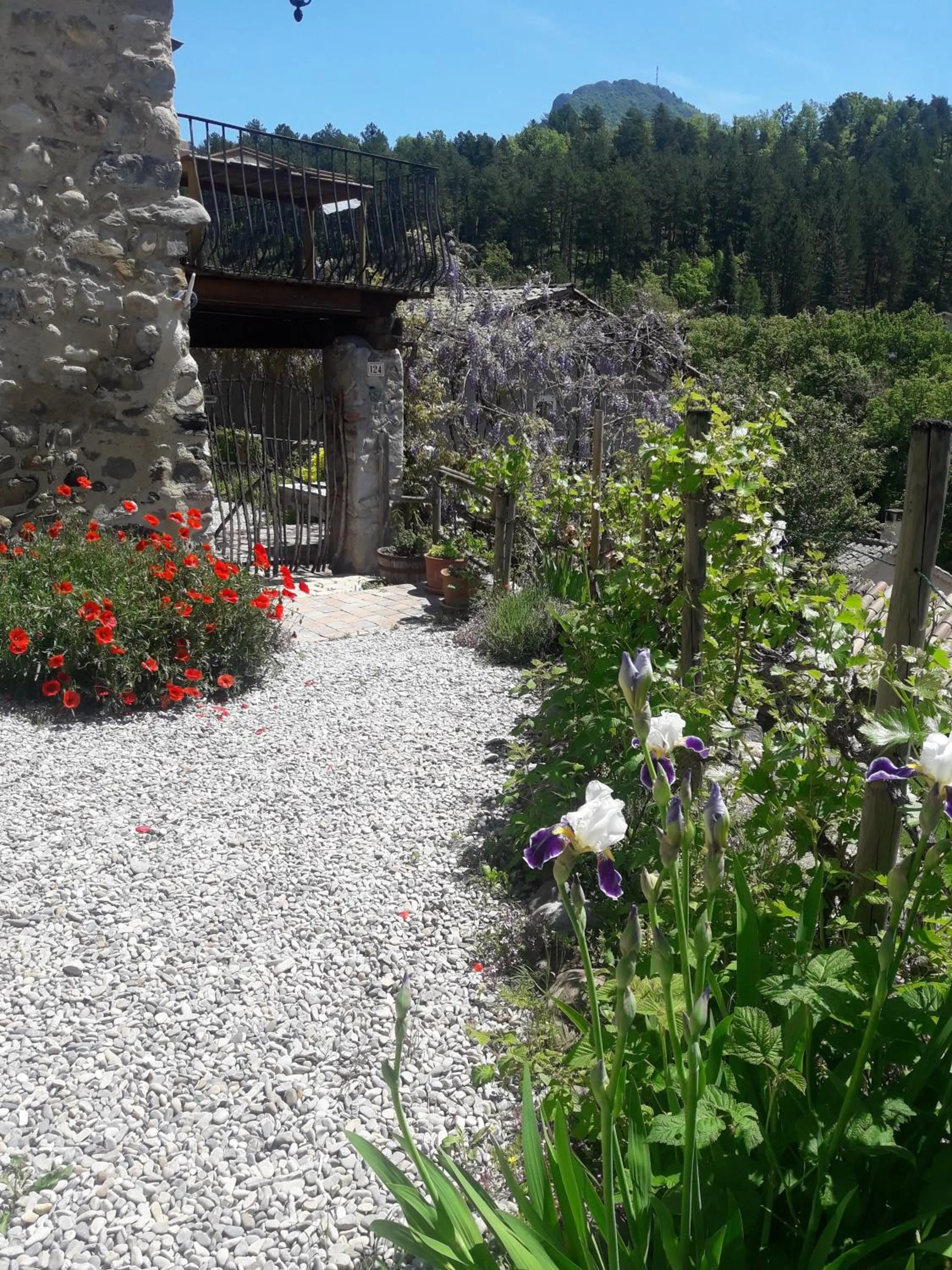 Maison Aux Lavandes B&B