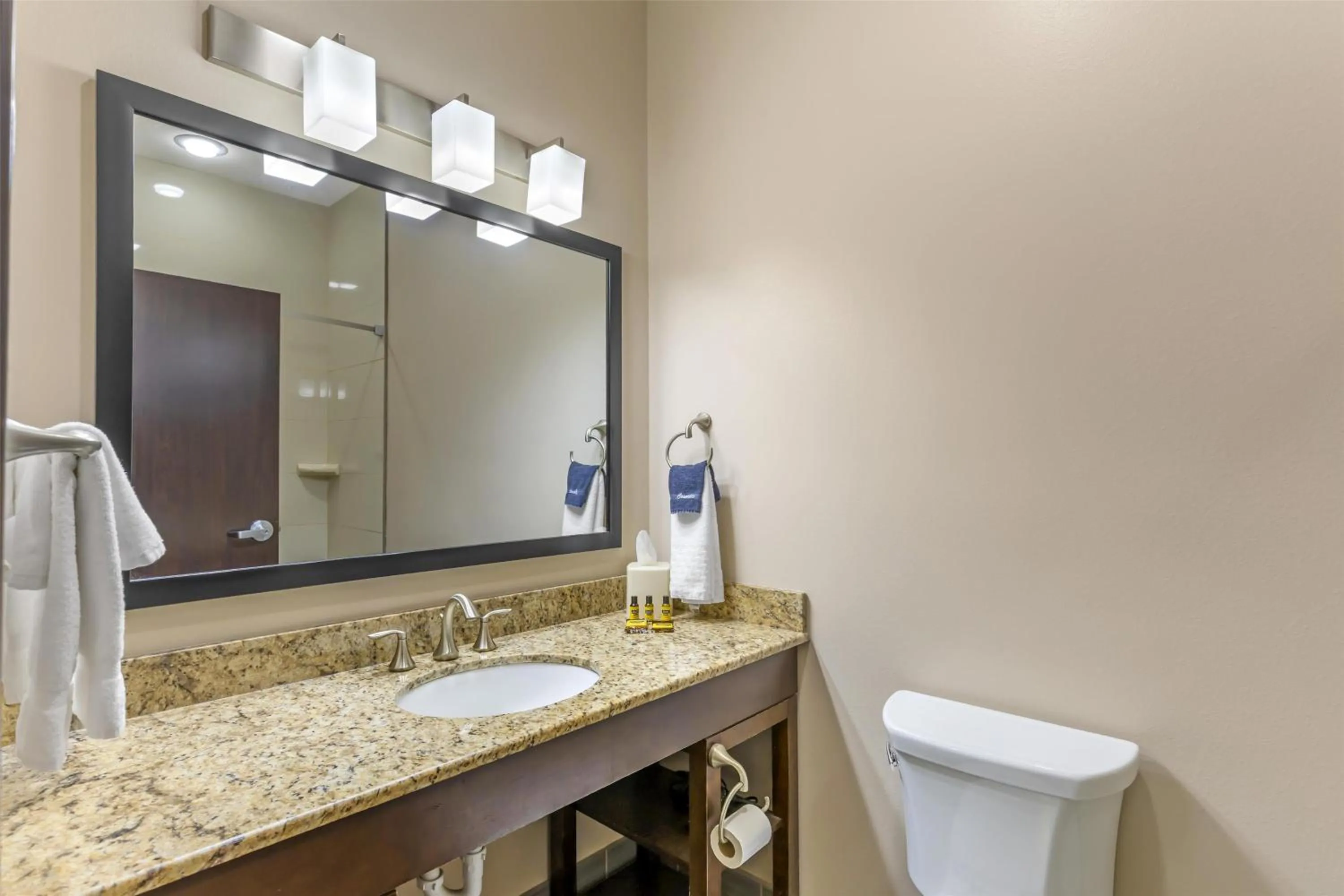 Bathroom in Best Western Plus Havre Inn & Suites