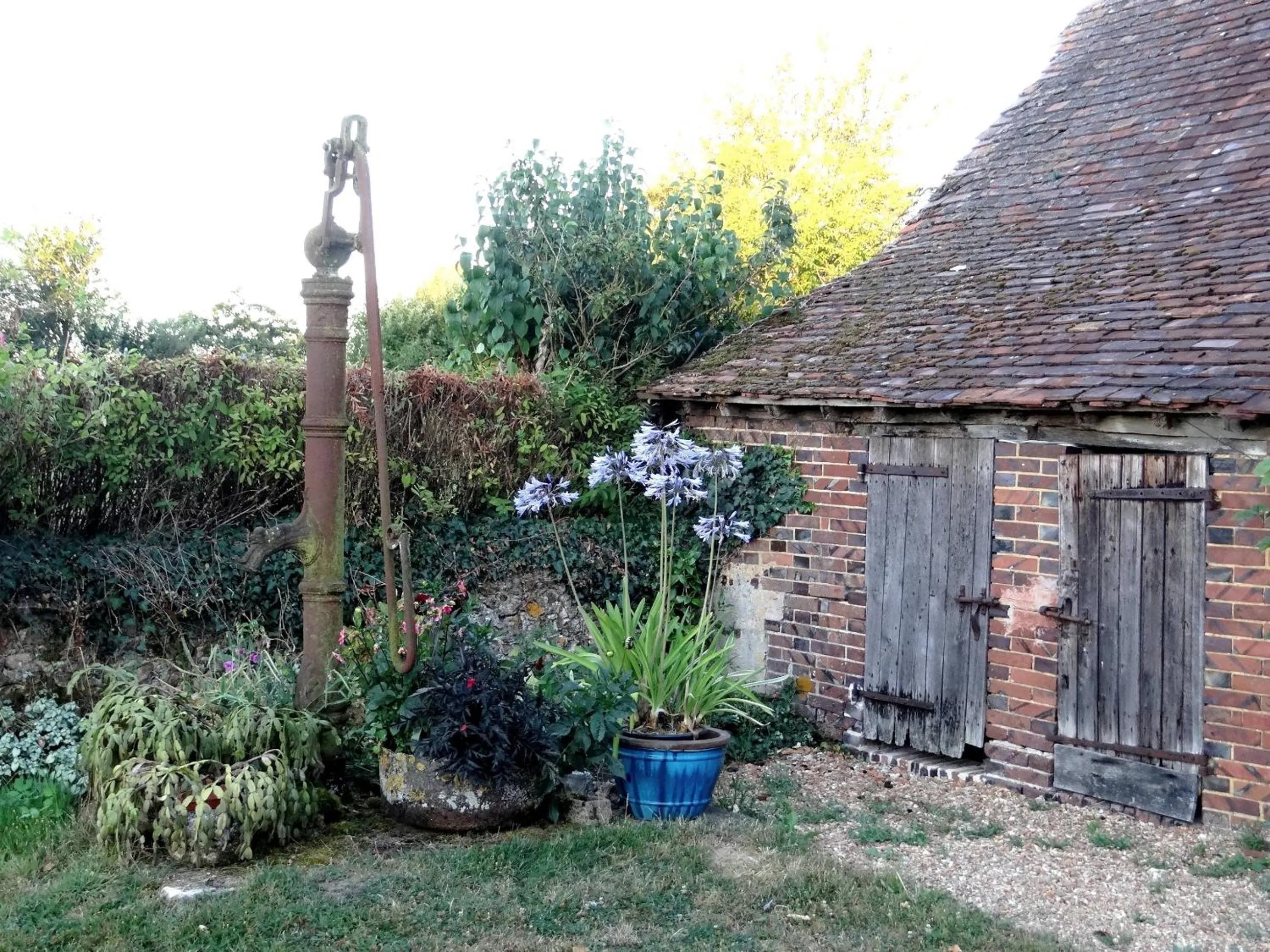 Garden in La Sauleraie