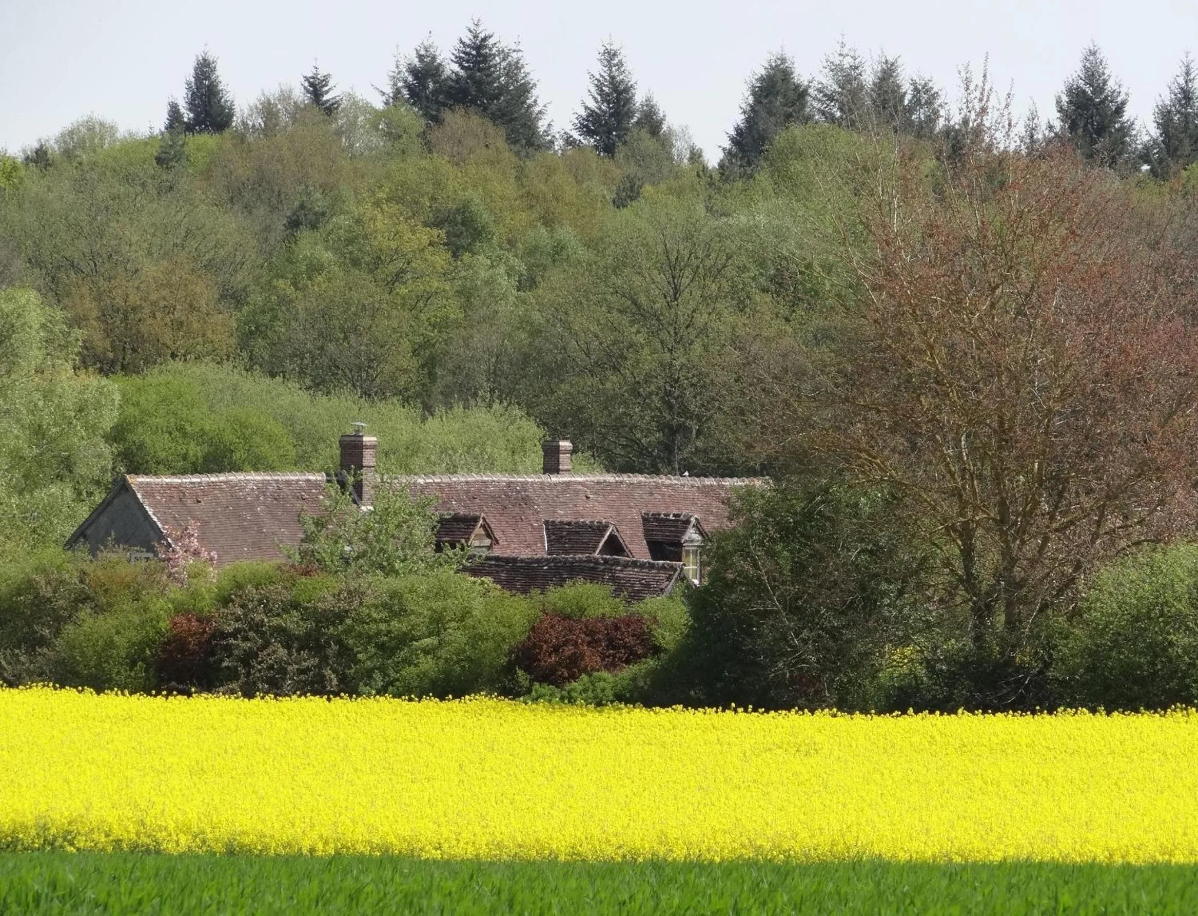 View (from property/room) in La Sauleraie