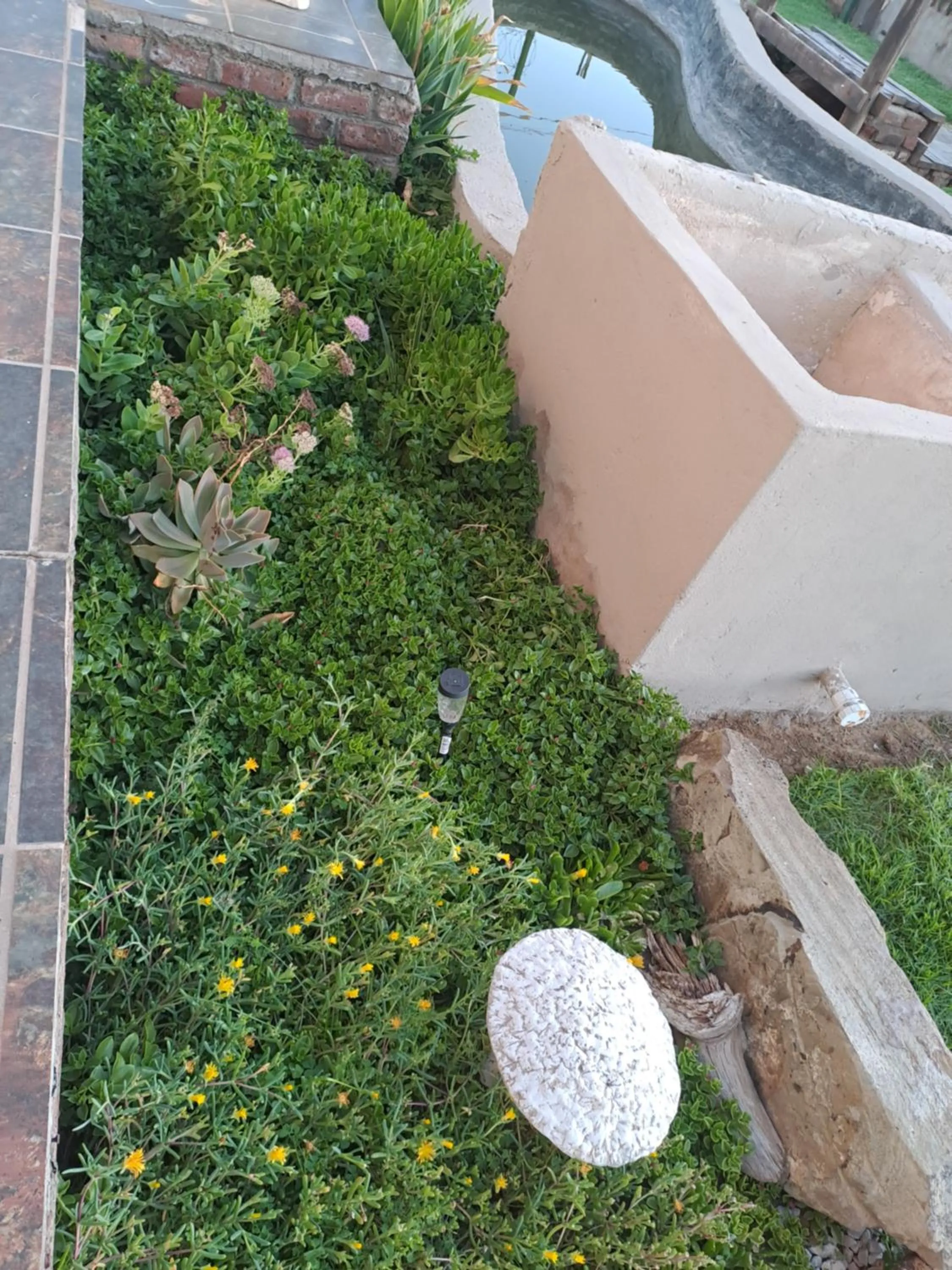 Garden in Breaking Dawn