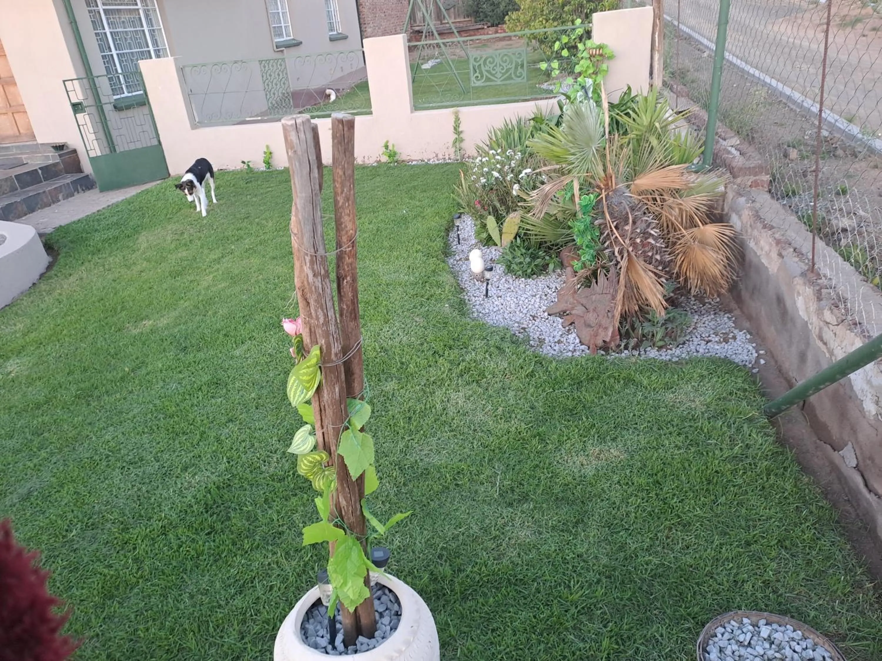 Garden in Breaking Dawn