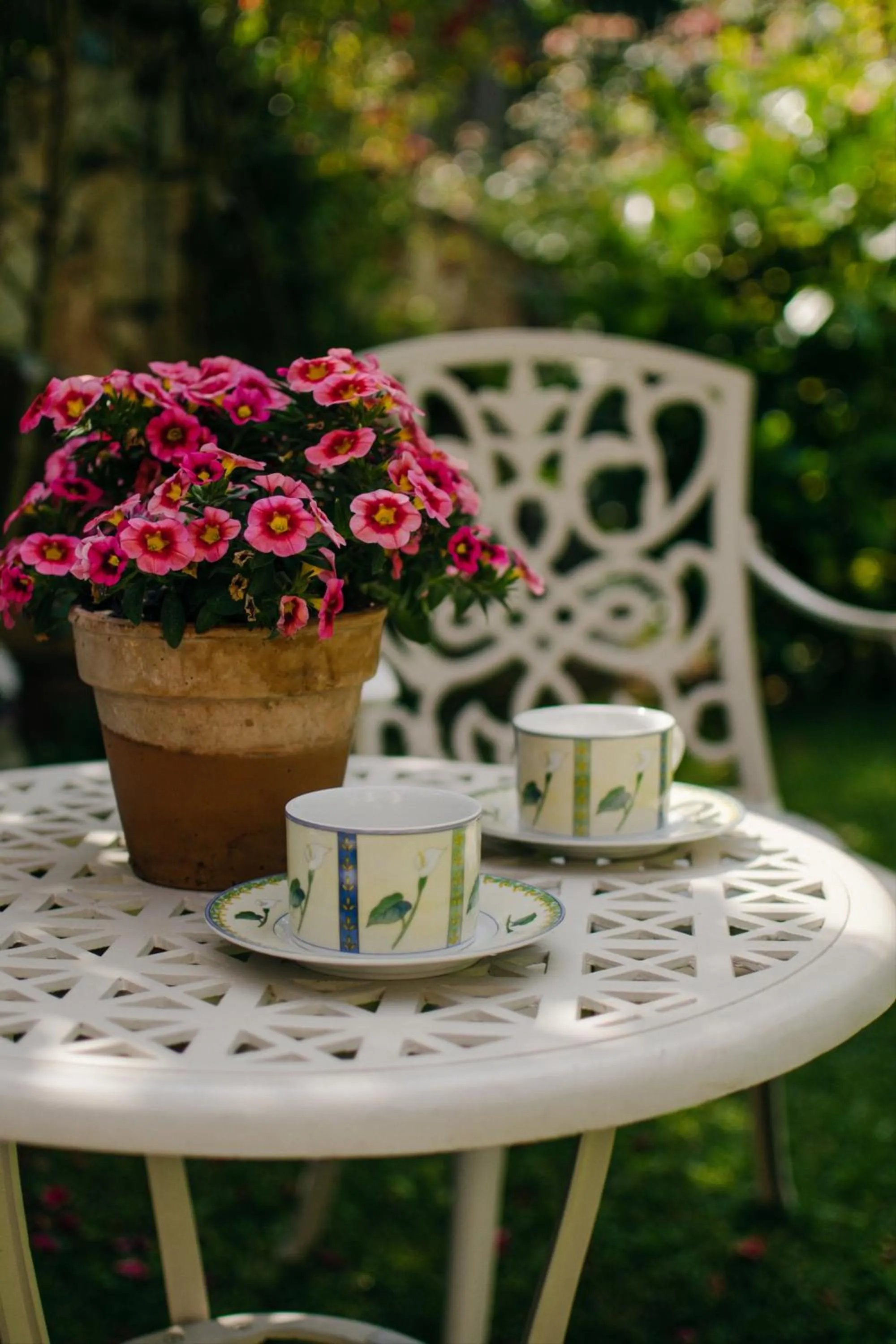 Garden in Rama Relais