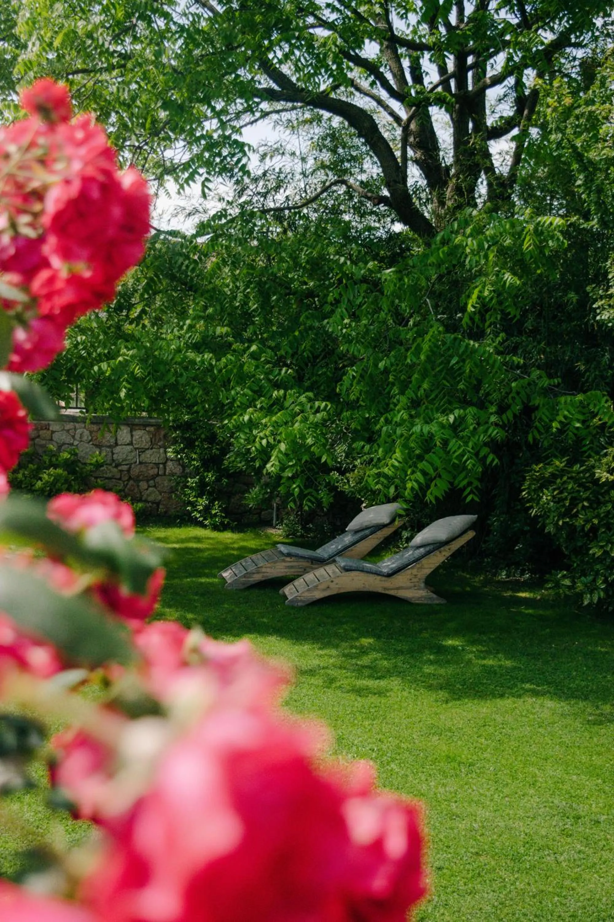 Natural landscape in Rama Relais