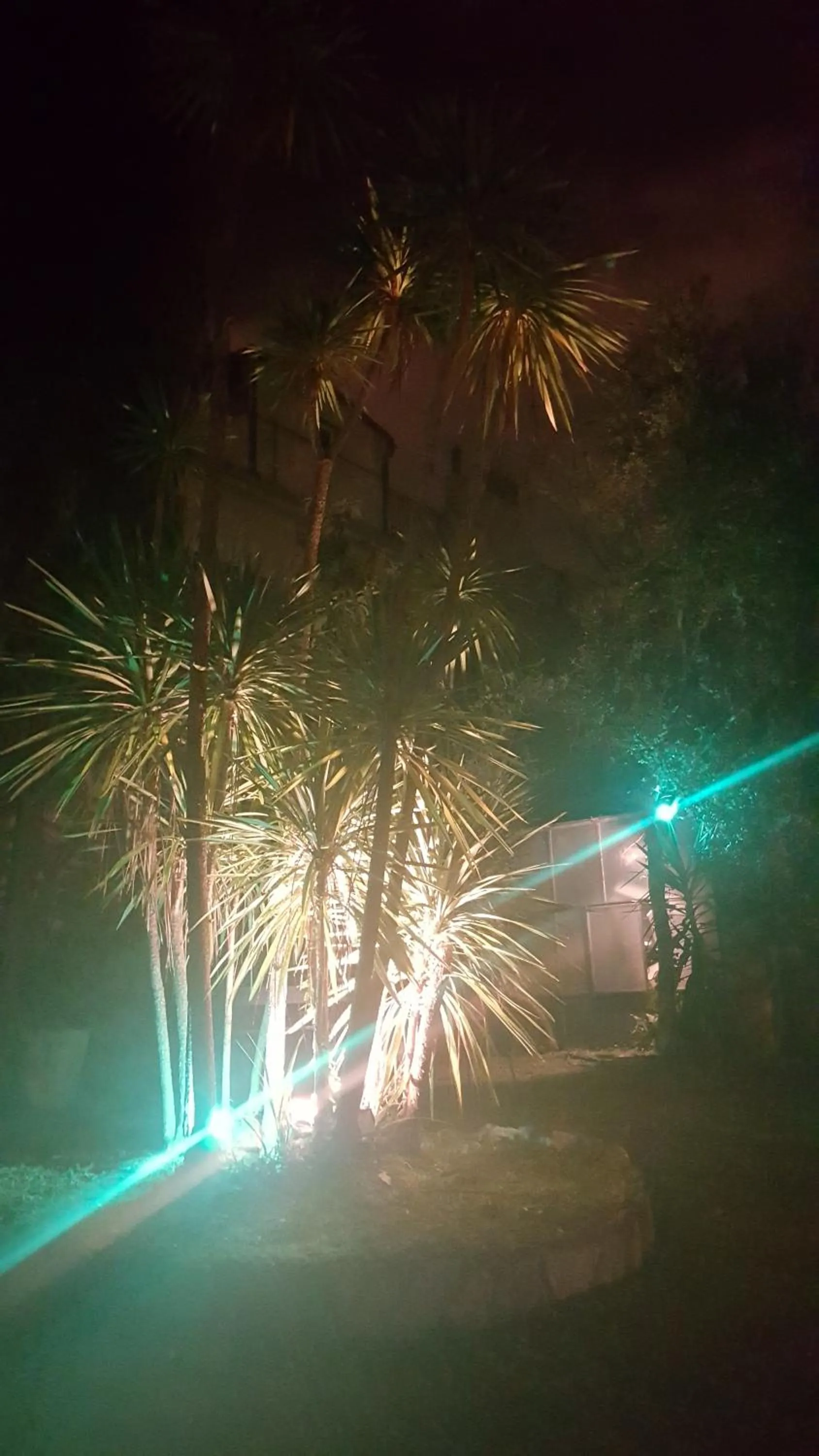 Garden in Royal Suite