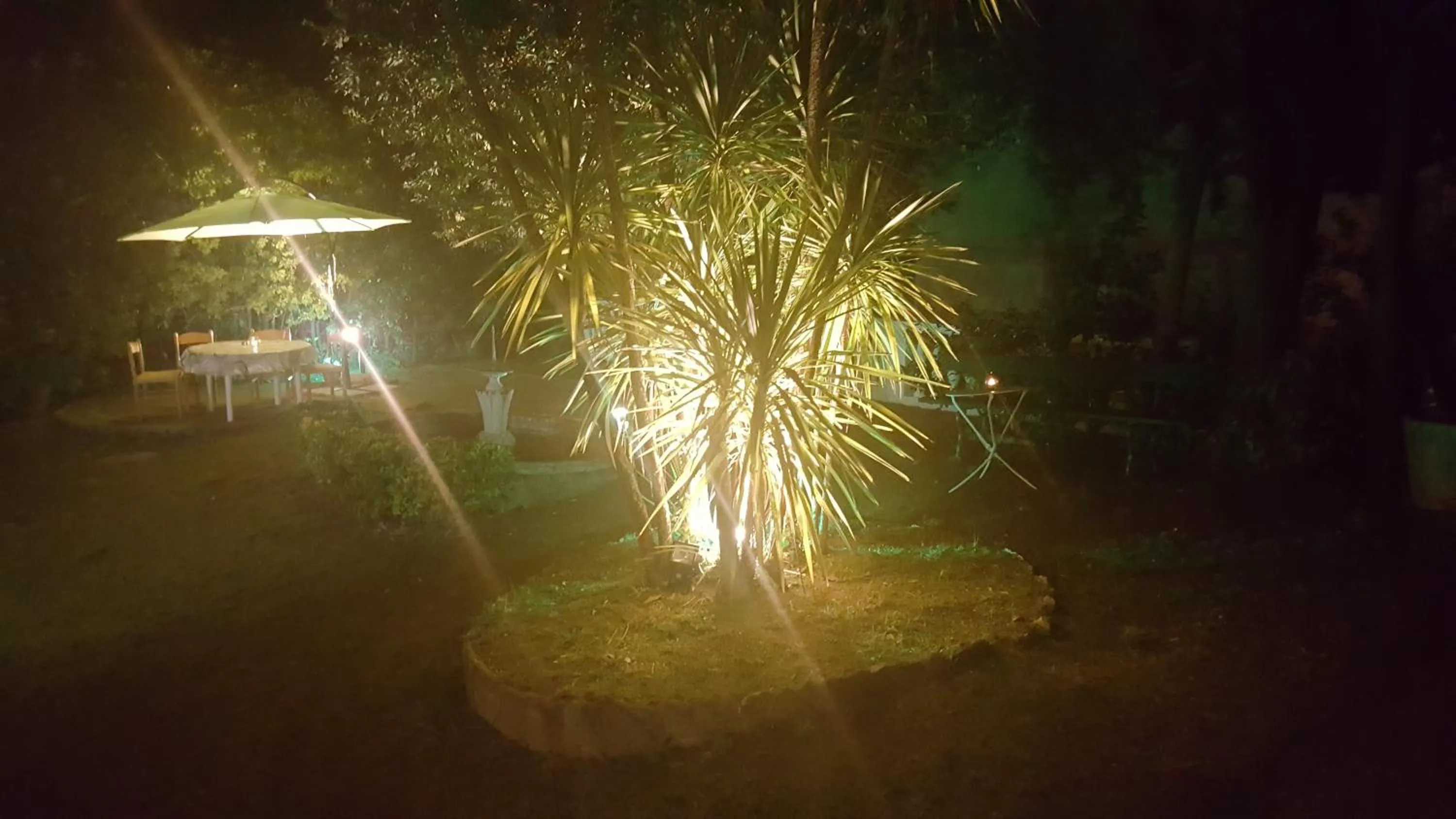 Garden in Royal Suite