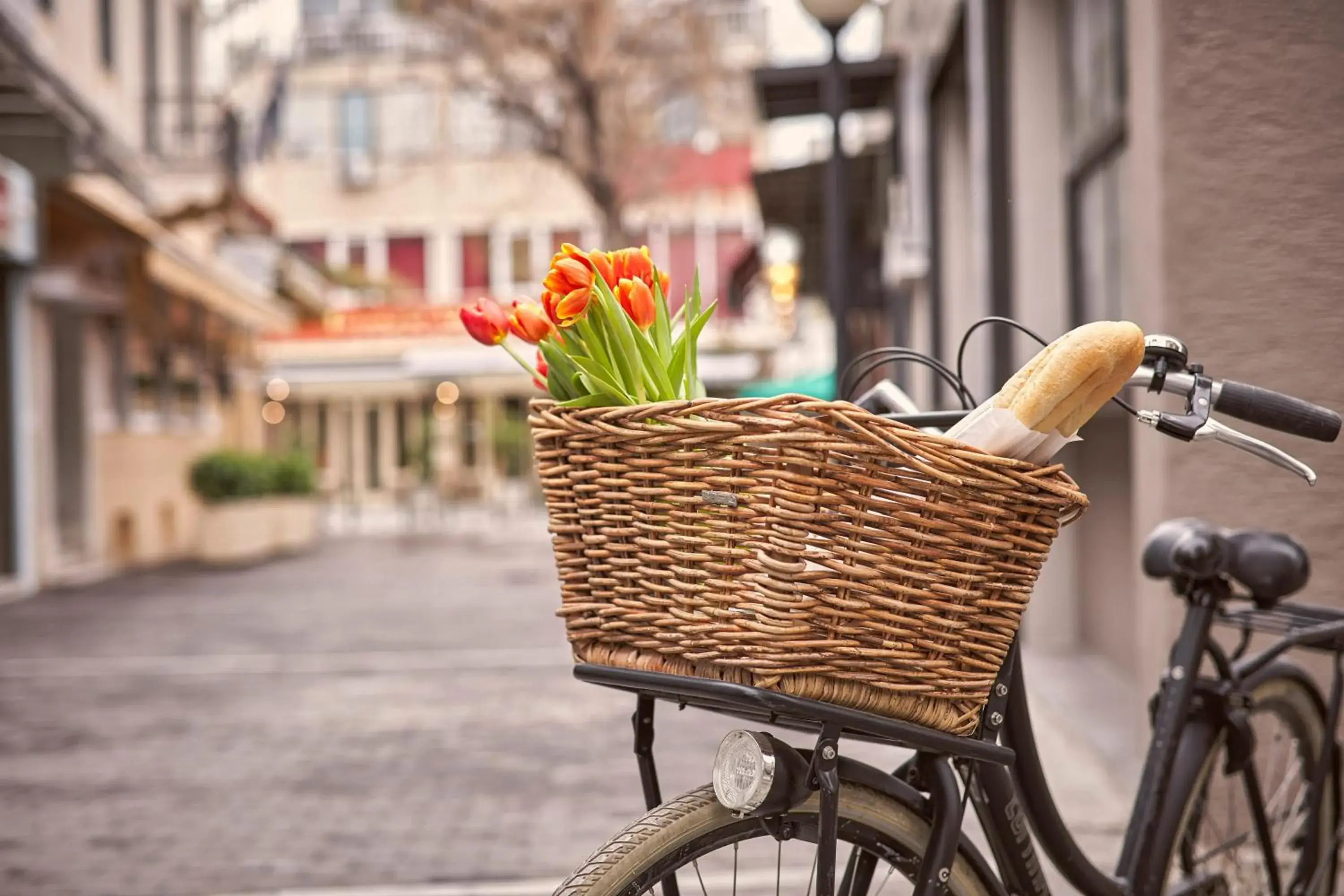 Property building in 18 Micon Str. Property building in 18 Micon Str.