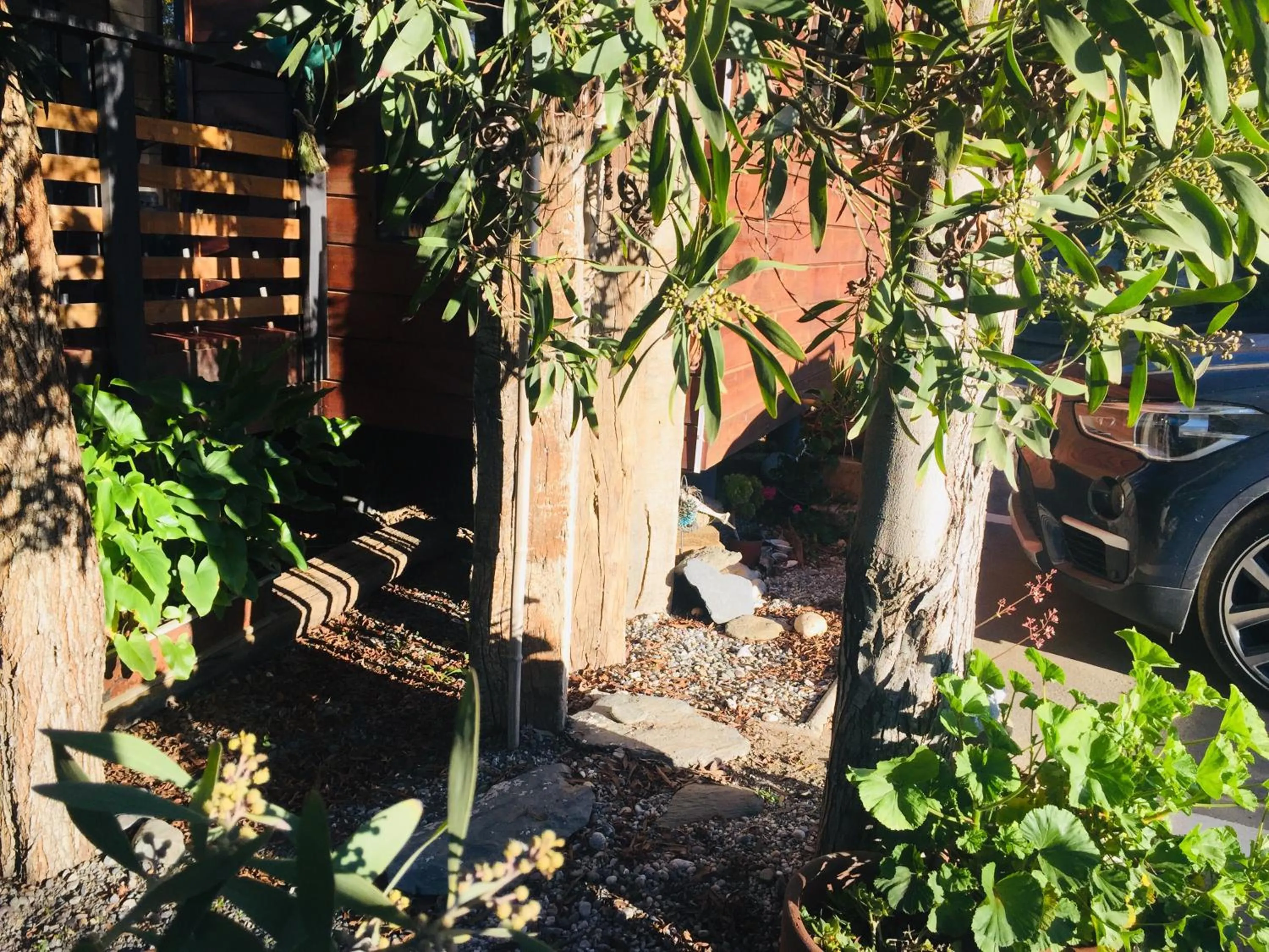 Cabaña del Bosque
