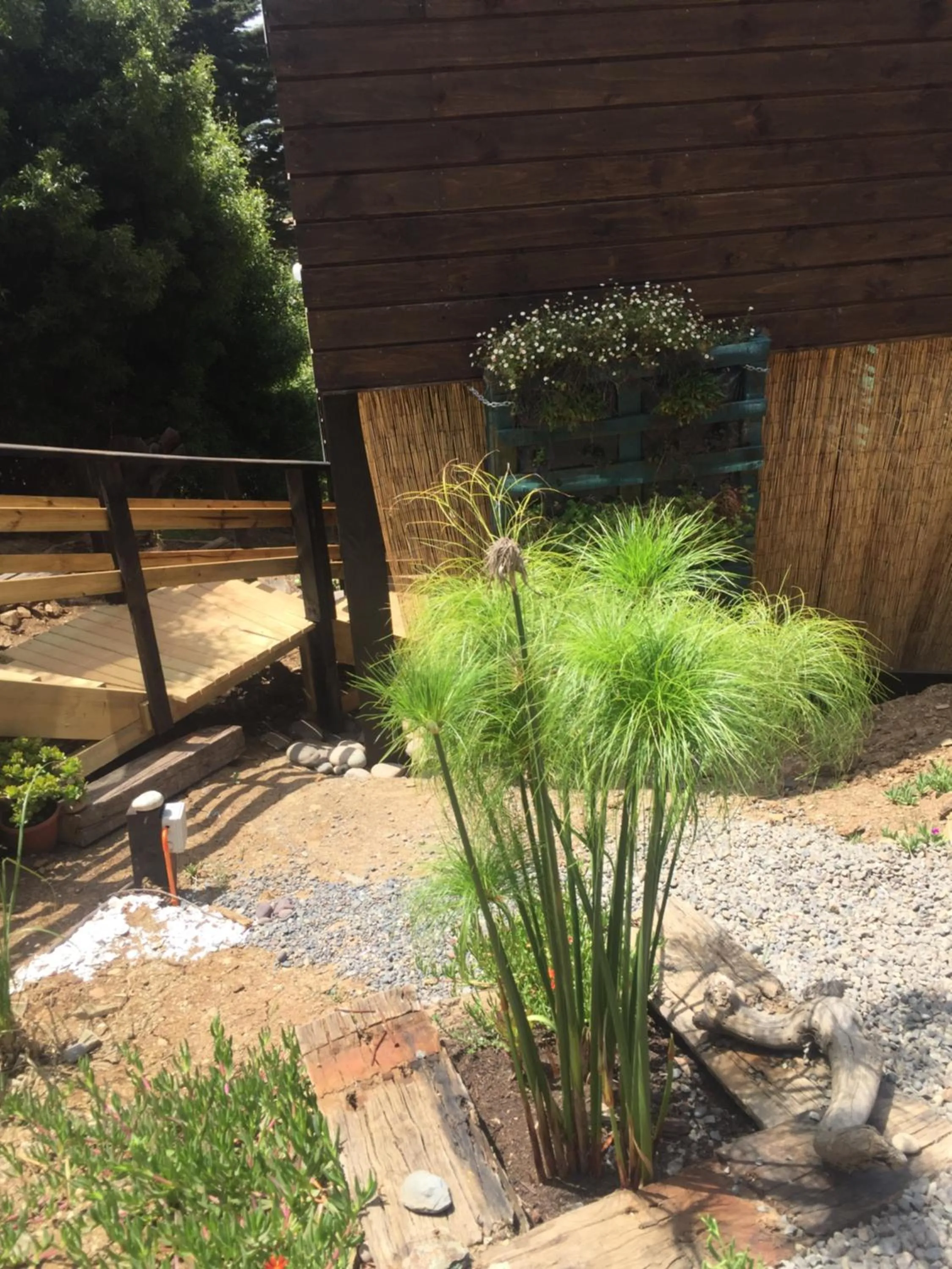Garden in Cabaña del Bosque