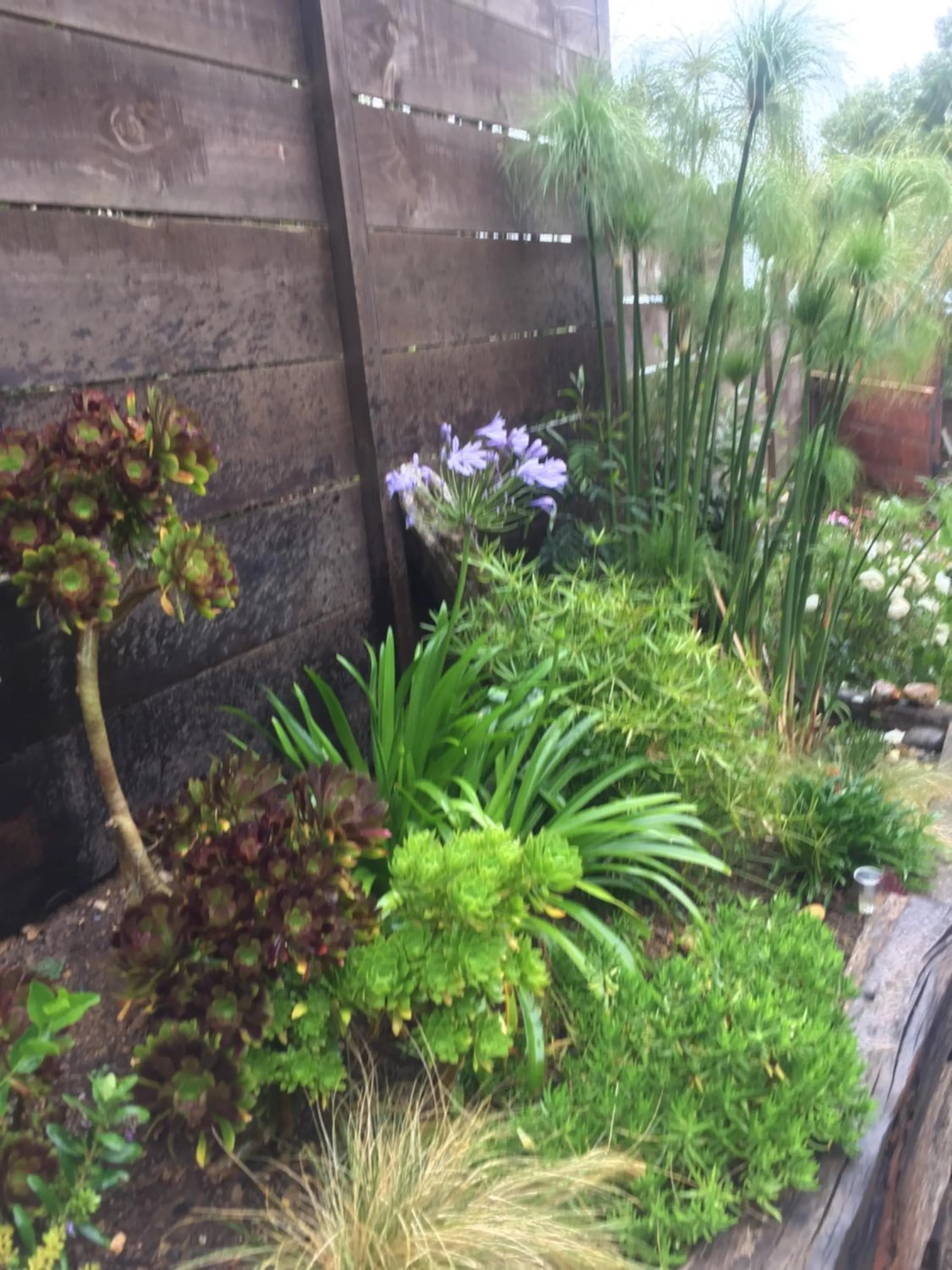 Garden in Cabaña del Bosque